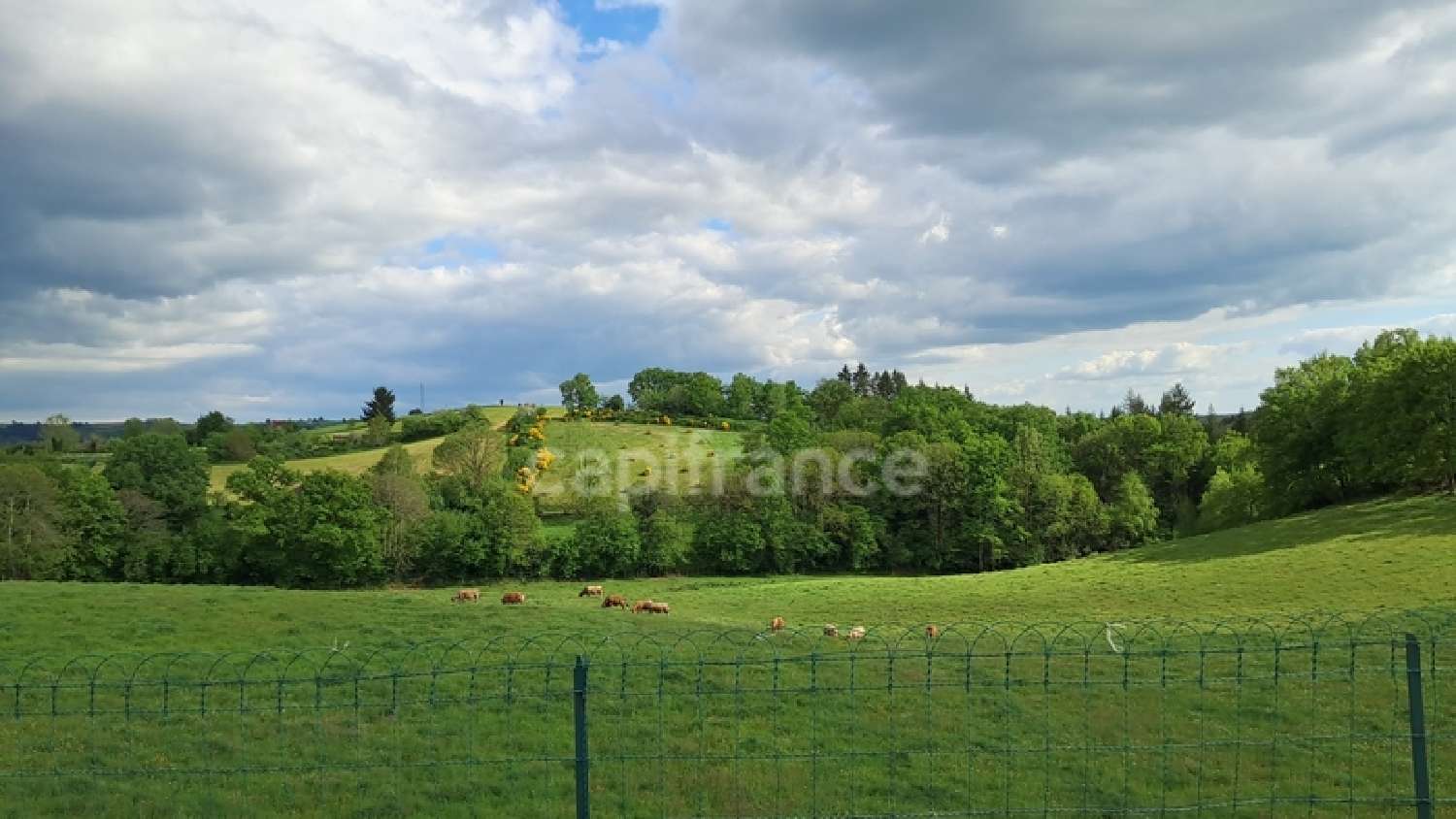  for sale house Cassaniouze Cantal 7