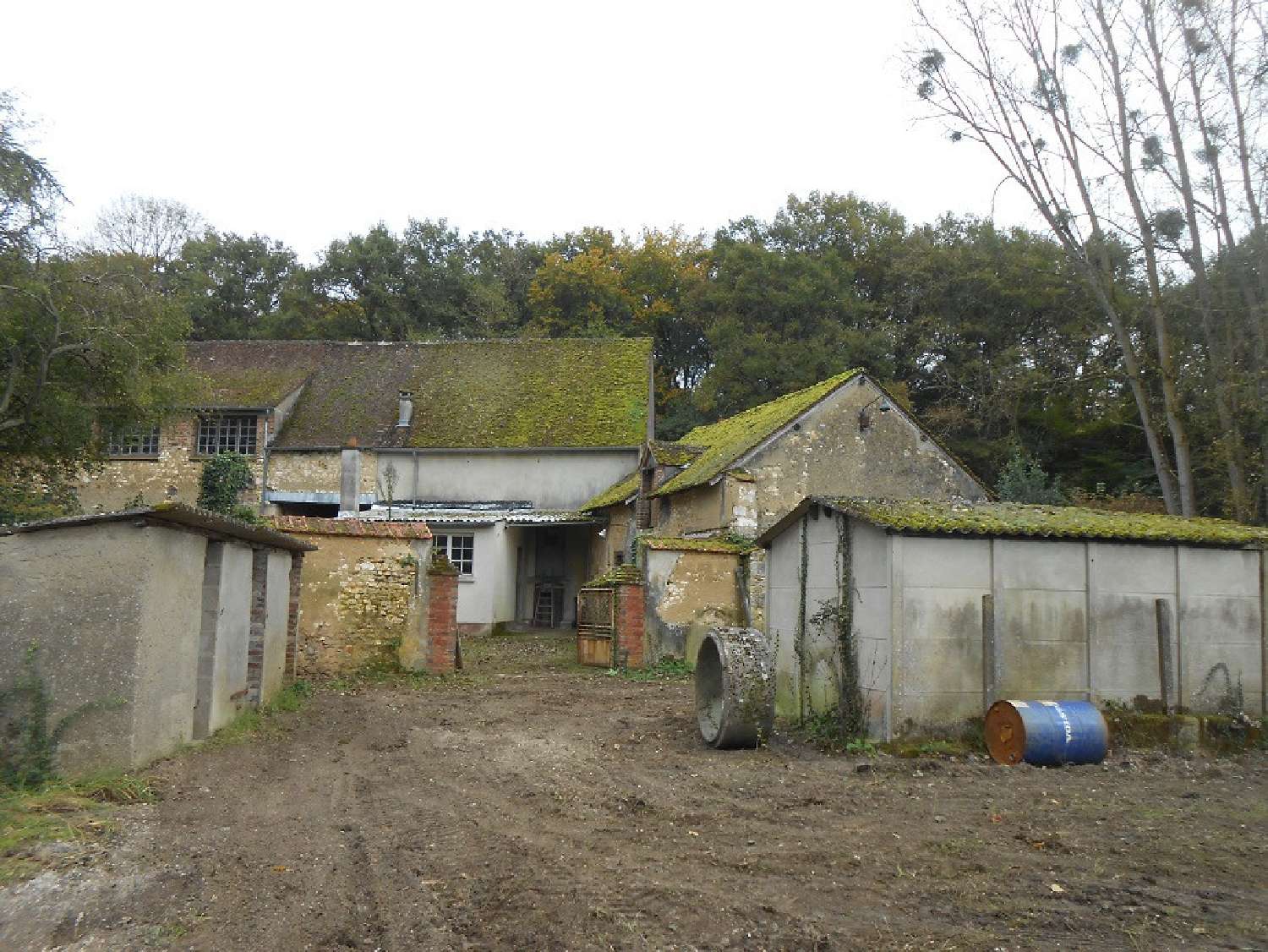  te koop huis Cepoy Loiret 1