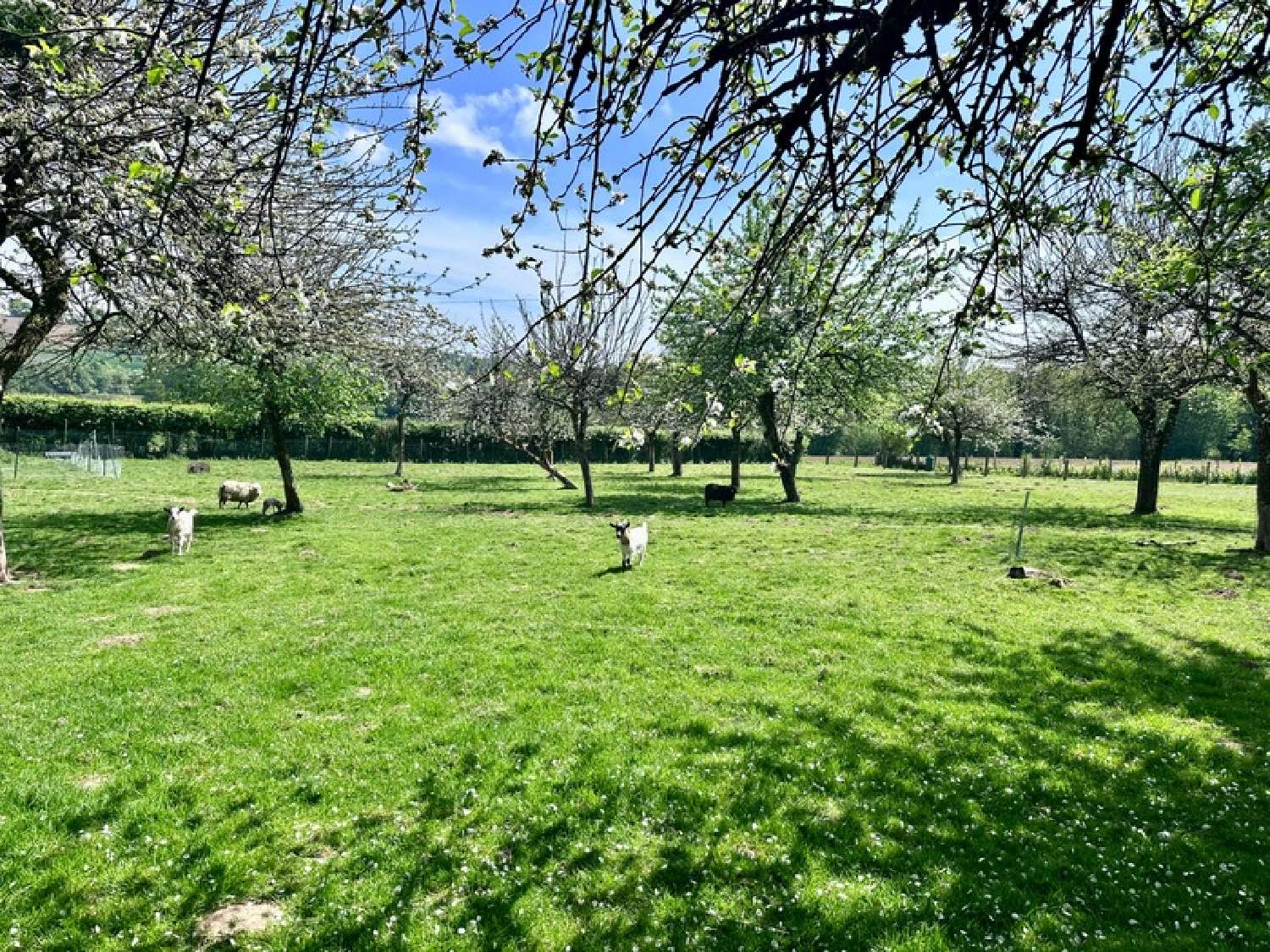  en venta casa Champ-du-Boult Calvados 3