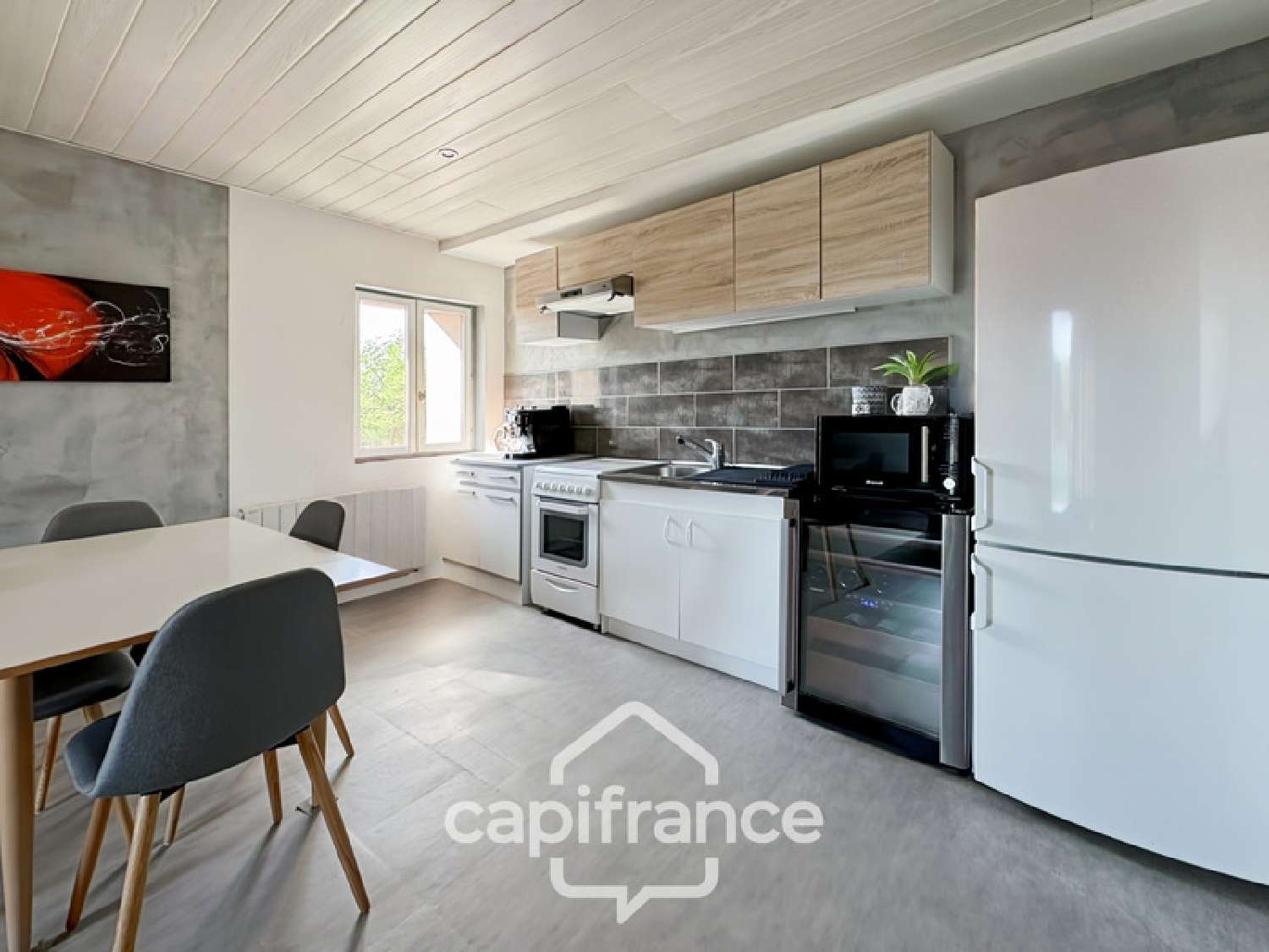  for sale house Chanas Isère 1