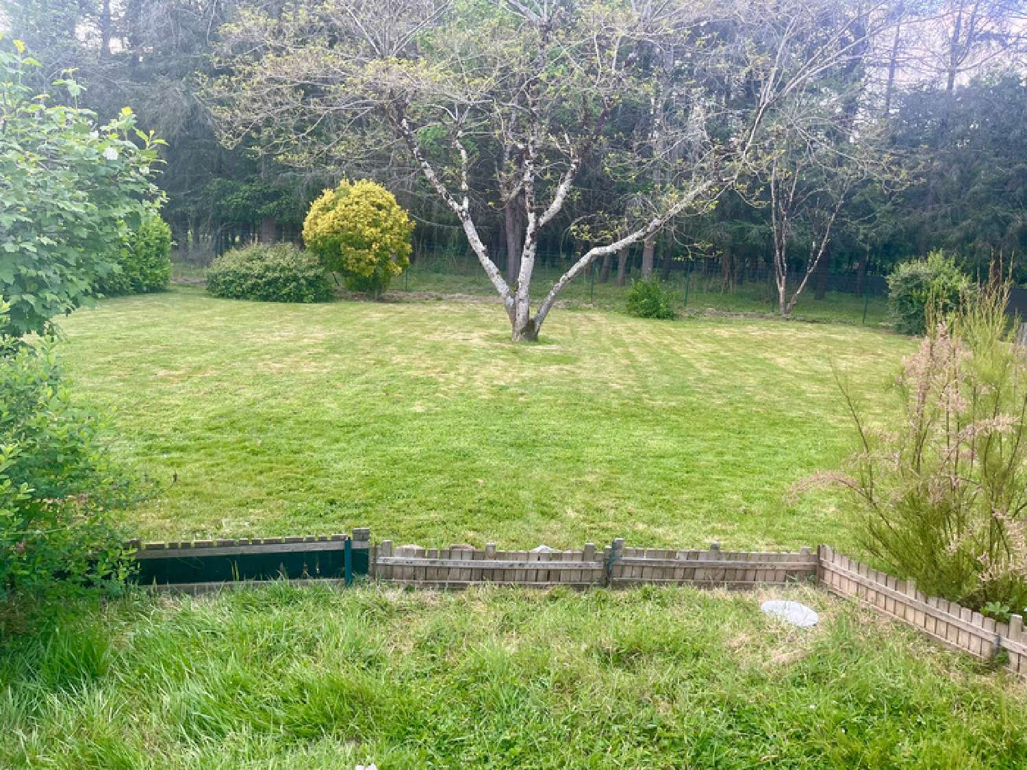  te koop huis Château-Guibert Vendée 4