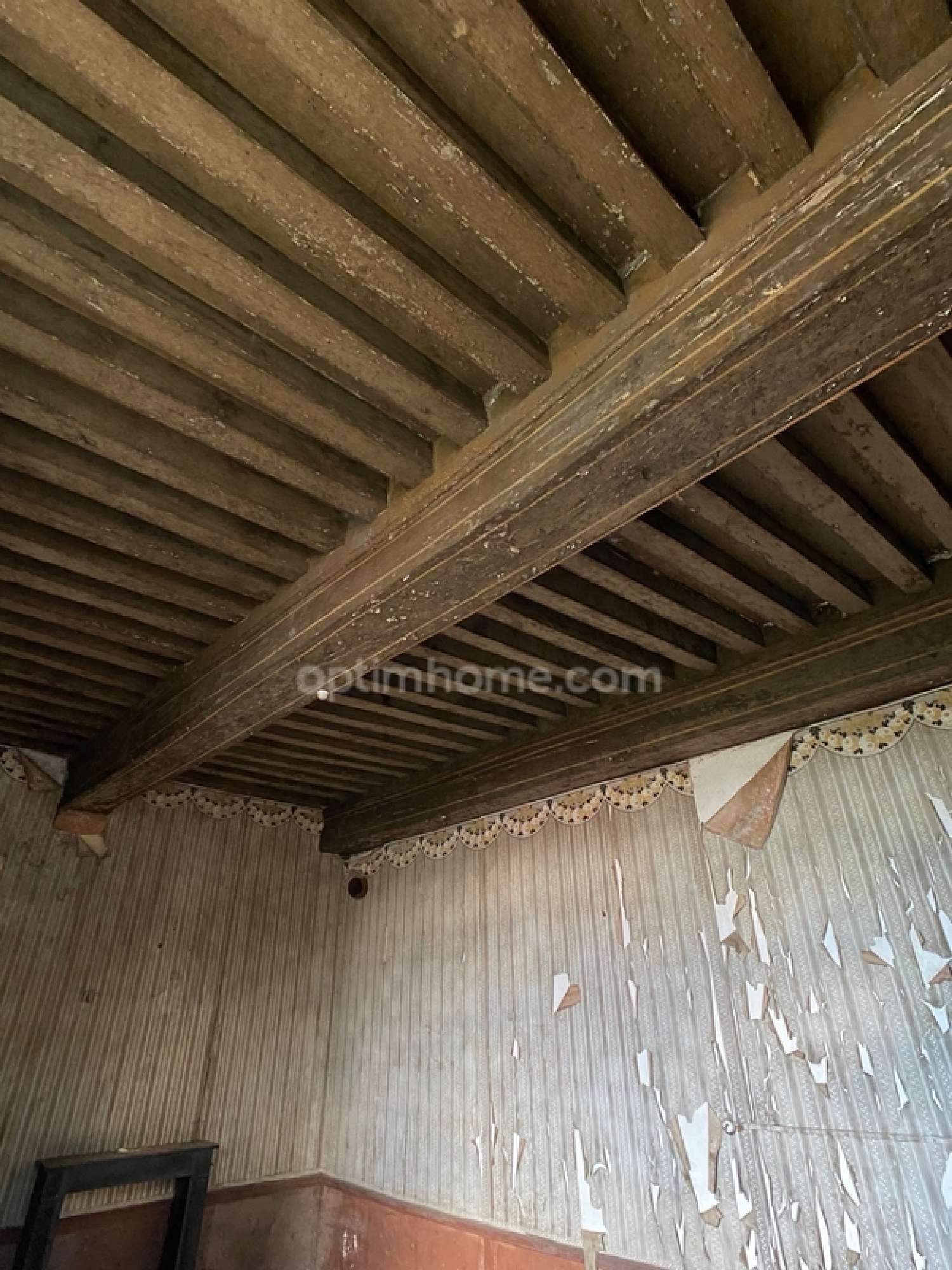  kaufen Haus Châteauponsac Haute-Vienne 8