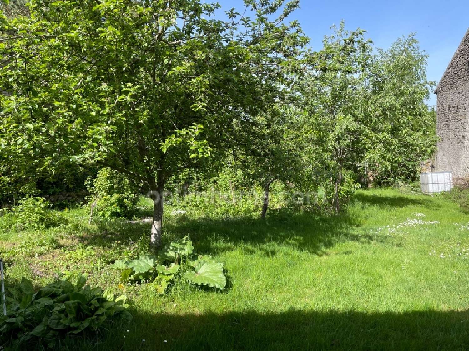  for sale house Châteauponsac Haute-Vienne 6