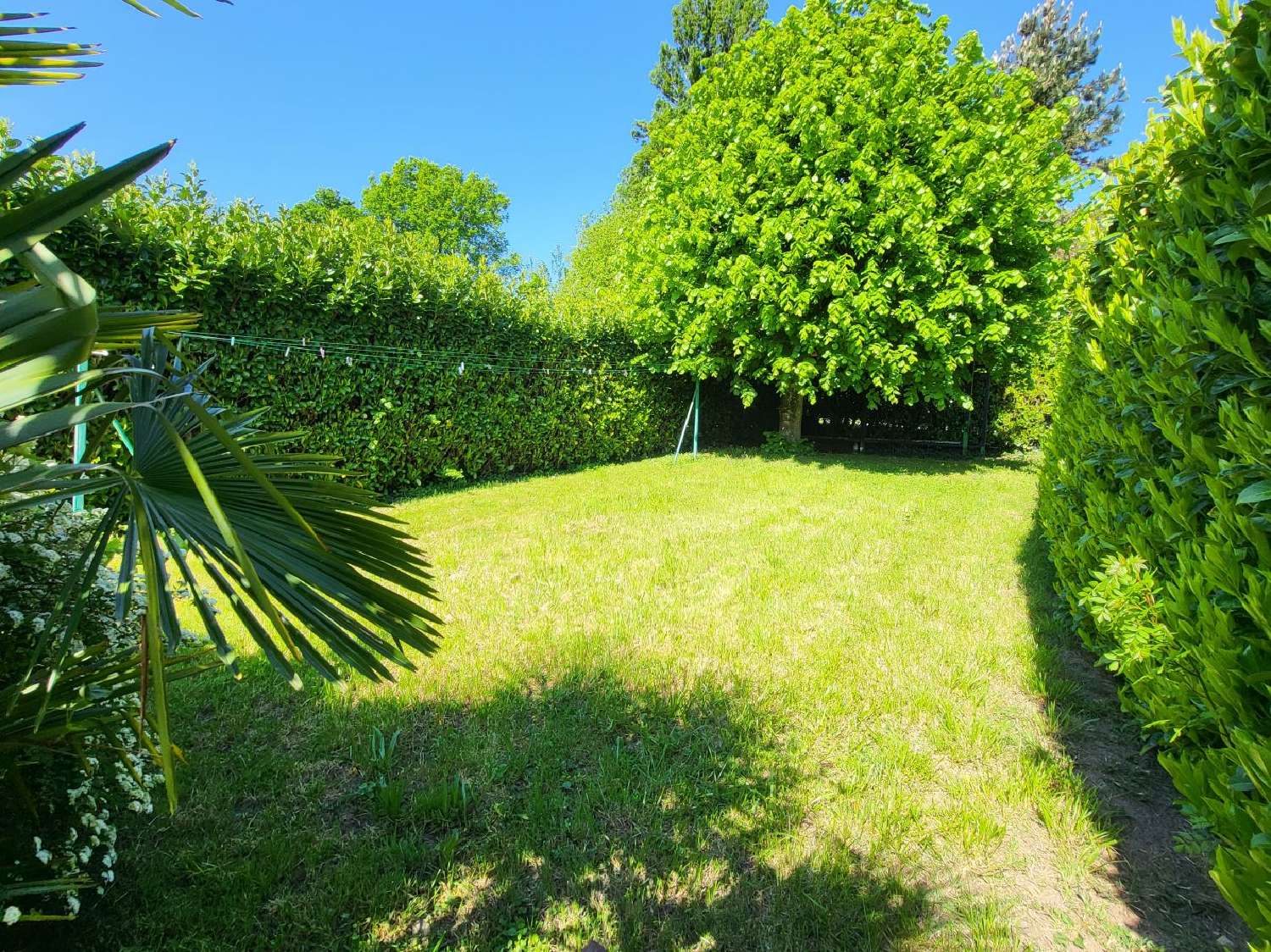  te koop huis Châtillon-la-Palud Ain 2