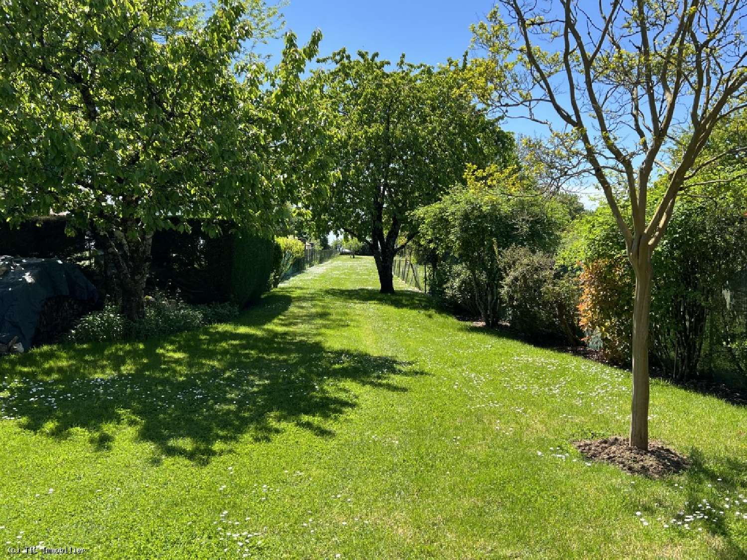  à vendre maison Chef-Boutonne Deux-Sèvres 5