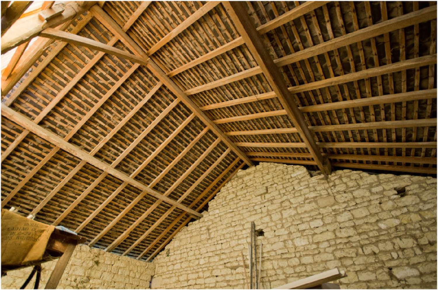  te koop huis Chéneché Vienne 6