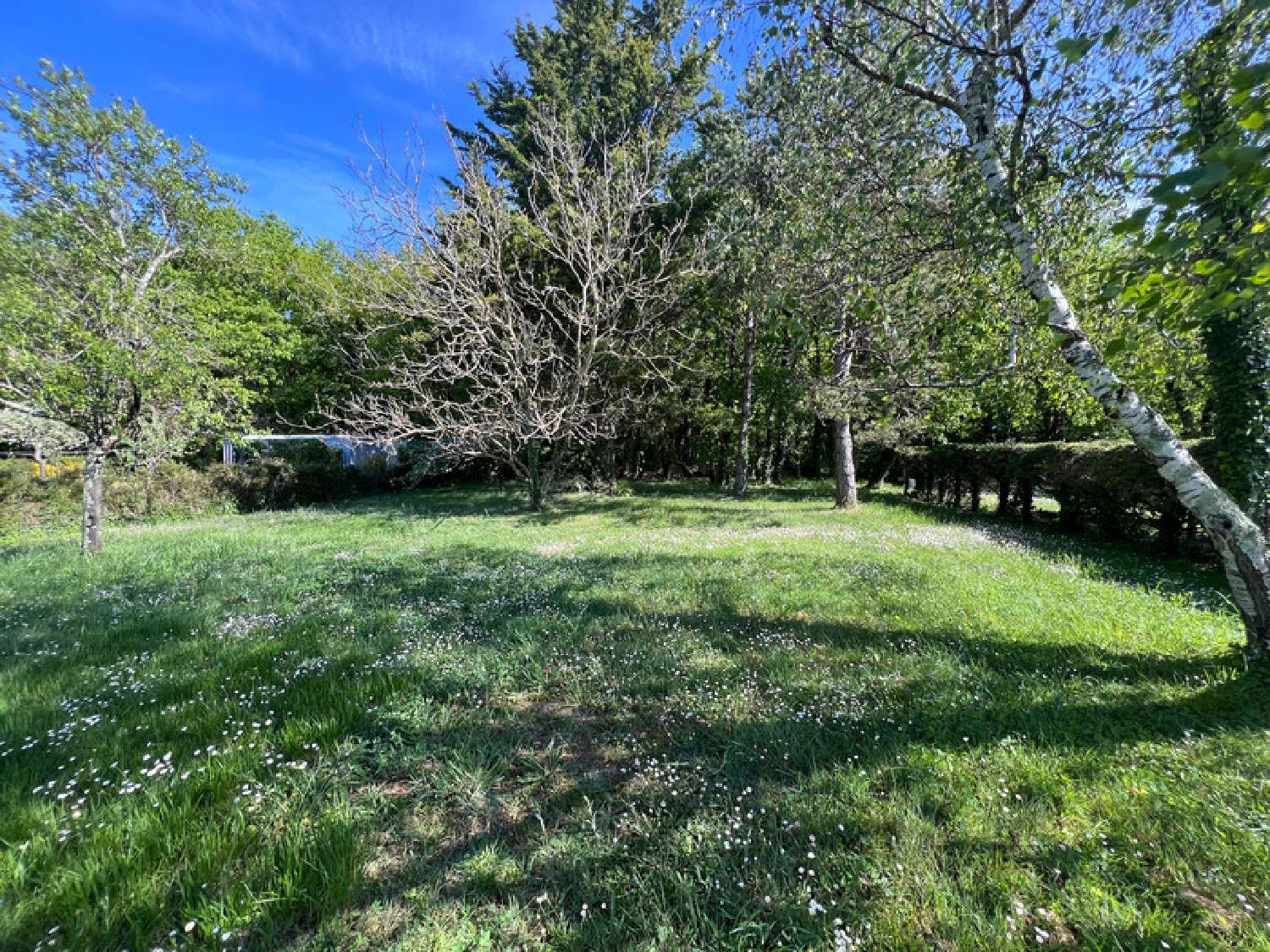  à vendre maison Chérac Charente-Maritime 4