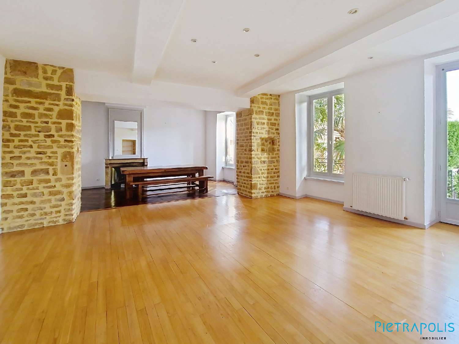  te koop huis Chessy Rhône 2