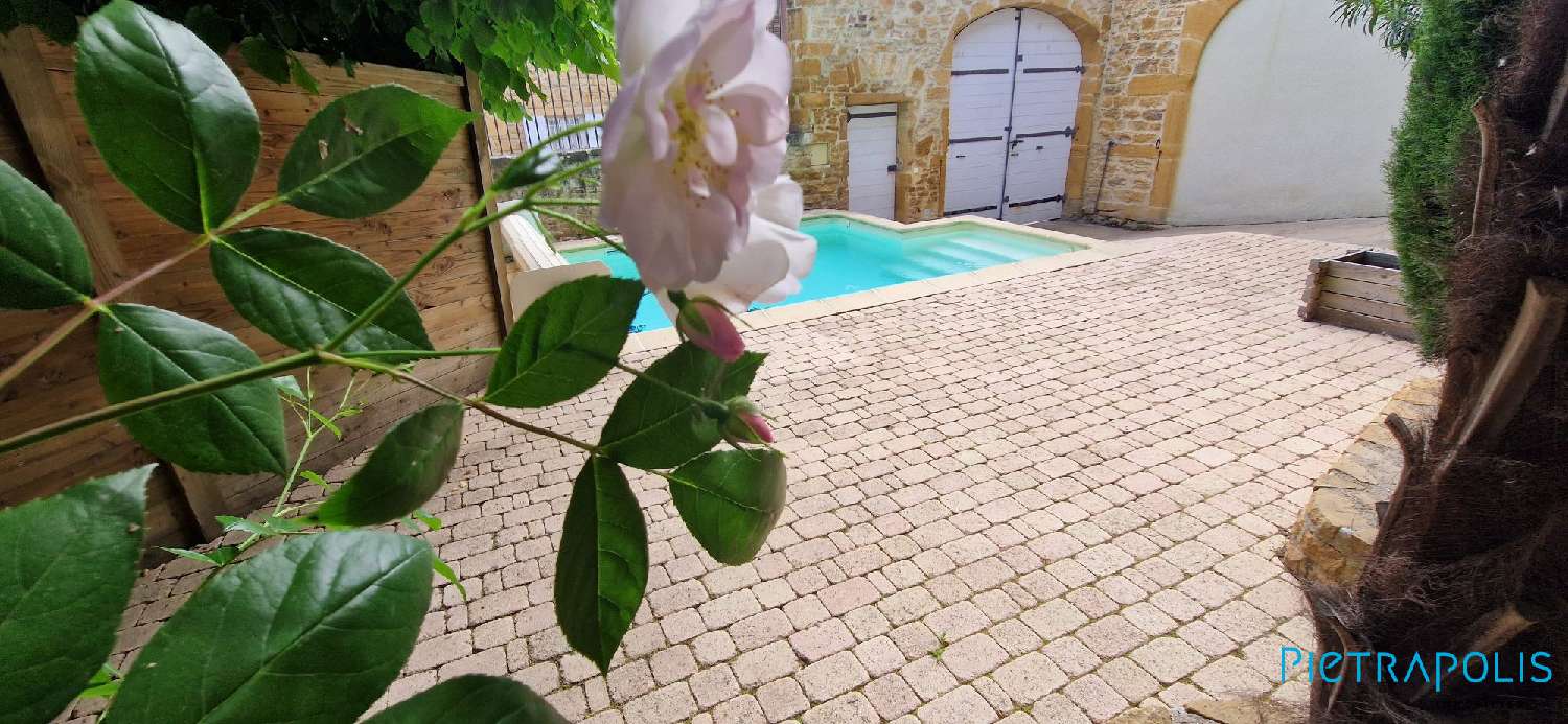  te koop huis Chessy Rhône 3