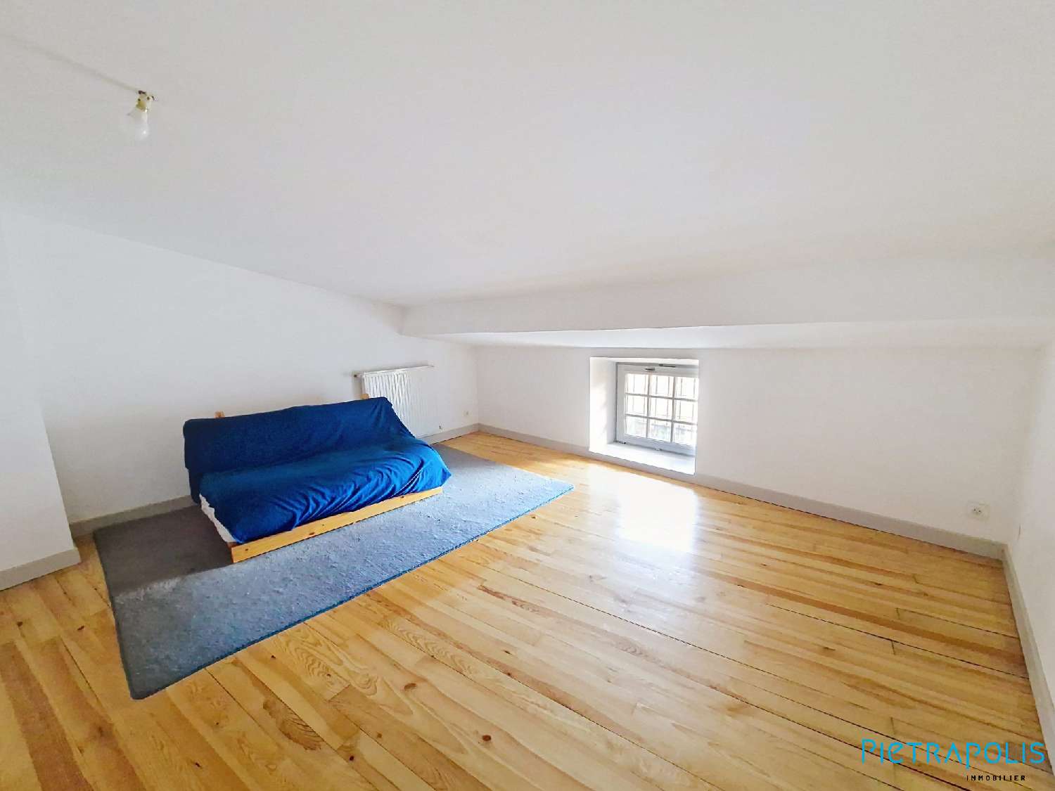  te koop huis Chessy Rhône 8