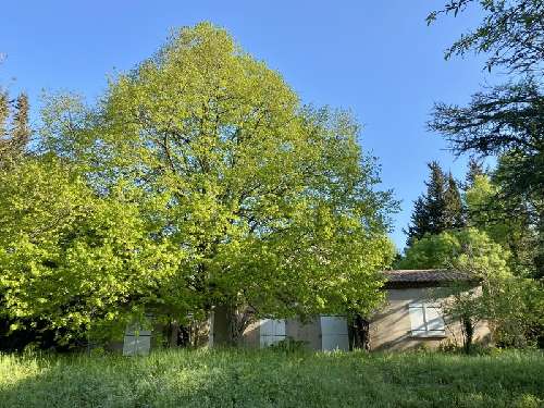 Clapiers Hérault Haus Bild 7060882