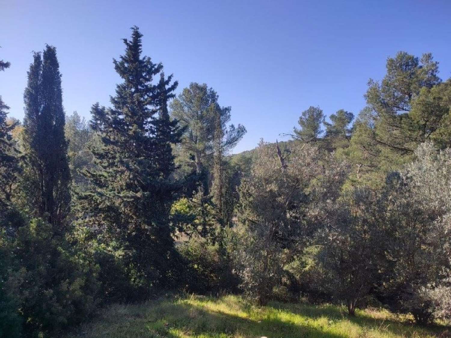  for sale house Montferrier-sur-Lez Hérault 4