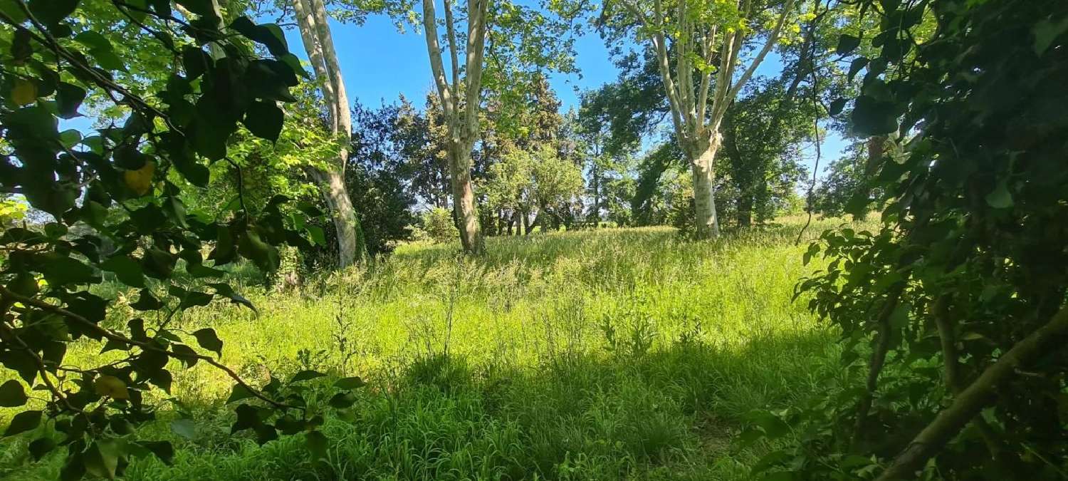  te koop huis Courthézon Vaucluse 4