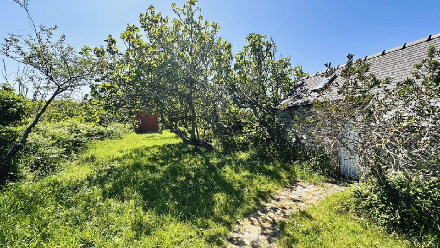  à vendre maison Crozon Finistère 5