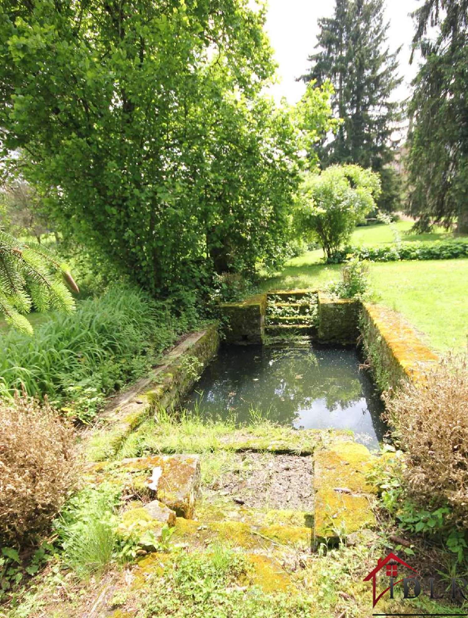  à vendre maison Dammartin-sur-Meuse Haute-Marne 5