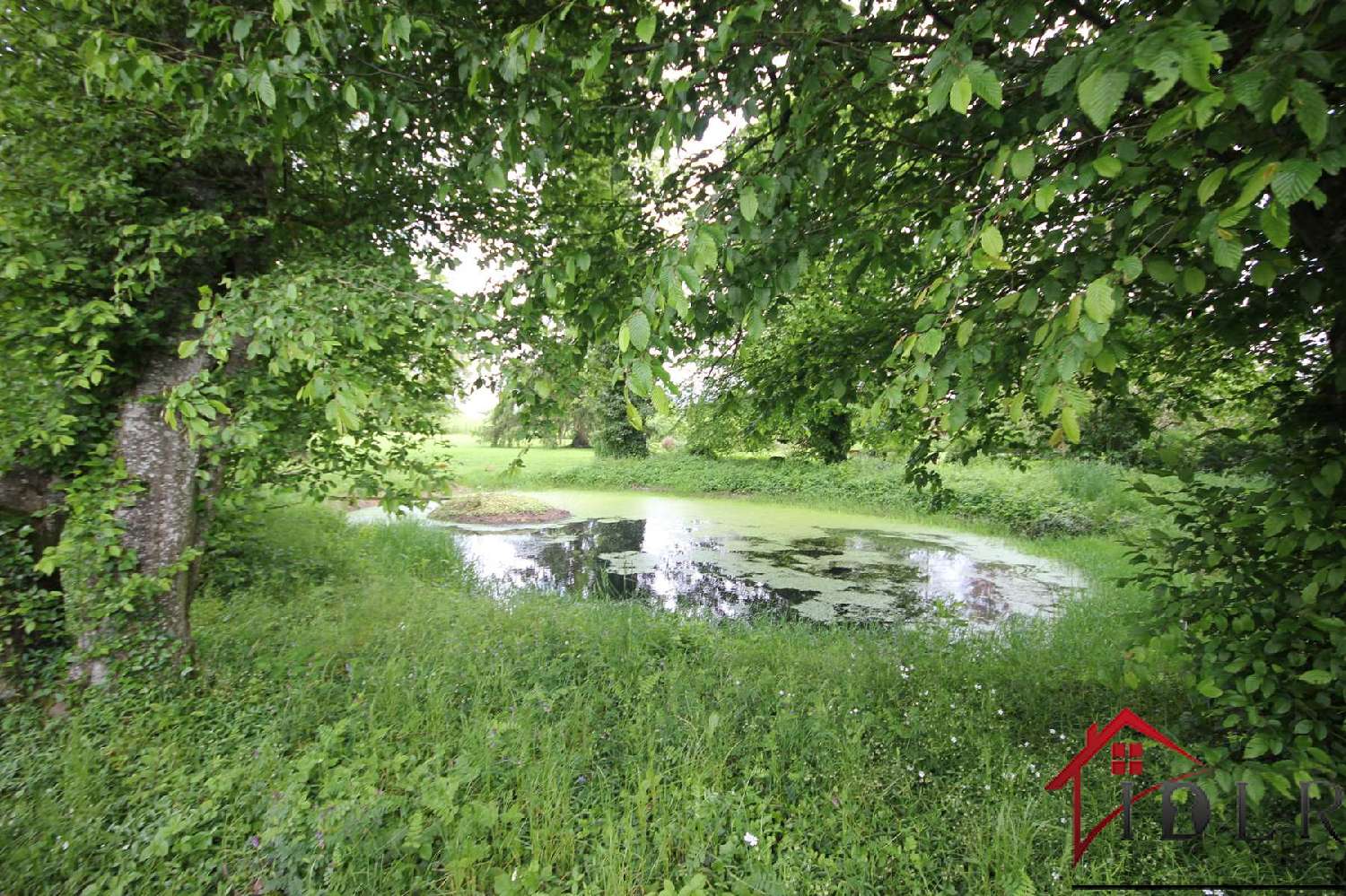  à vendre maison Dammartin-sur-Meuse Haute-Marne 6