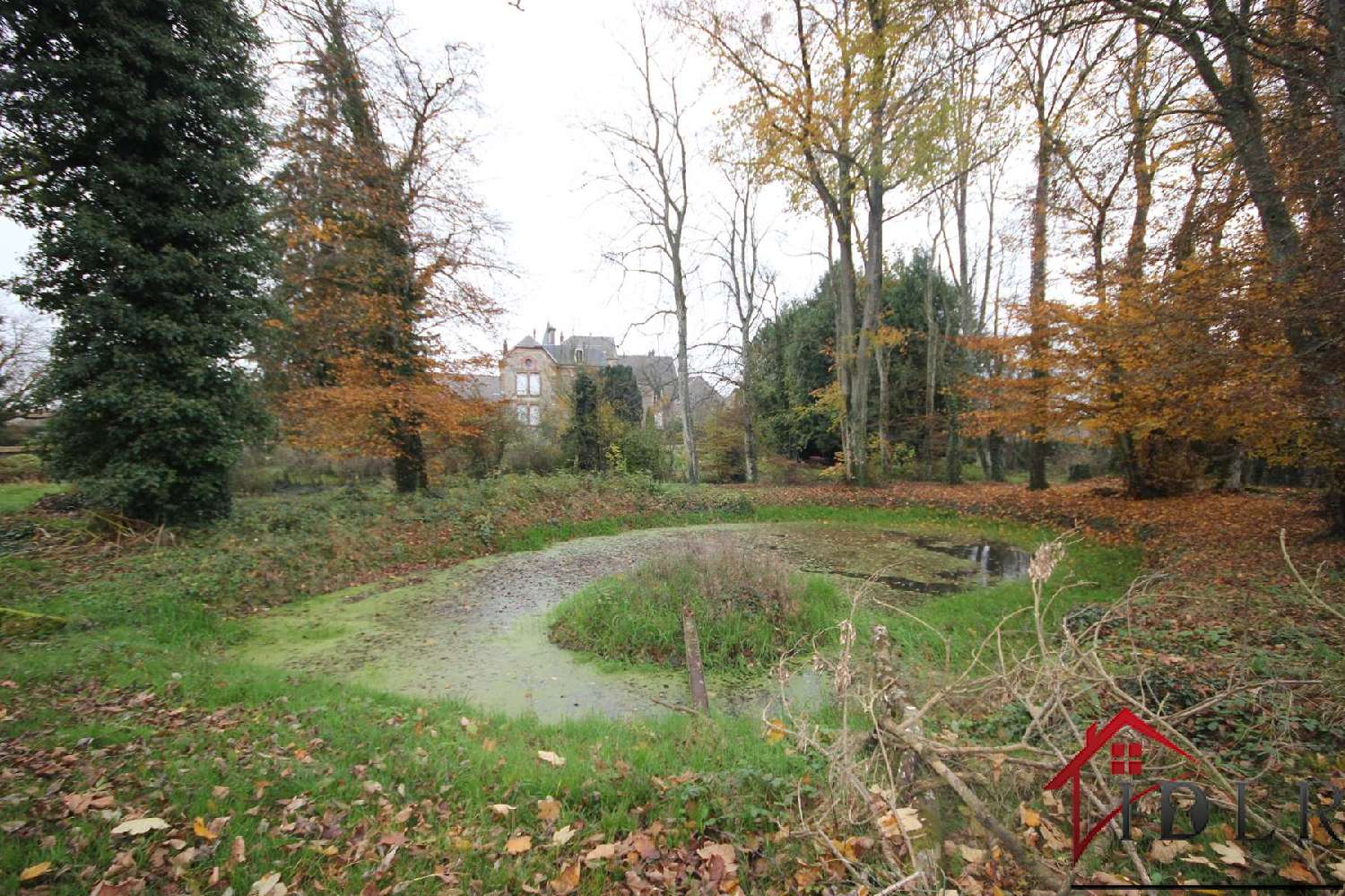  à vendre maison Dammartin-sur-Meuse Haute-Marne 8