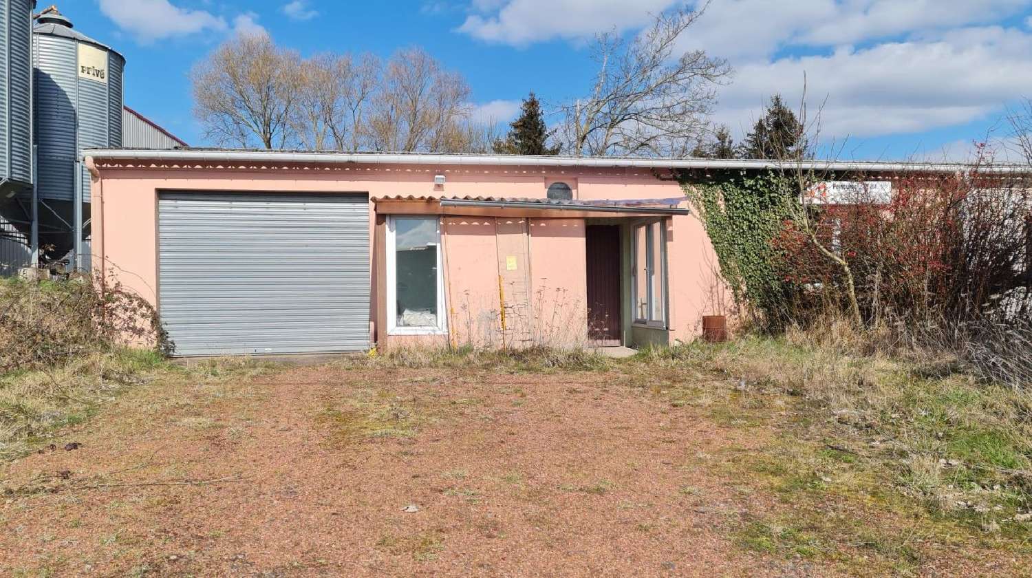  à vendre maison Dieuze Moselle 1