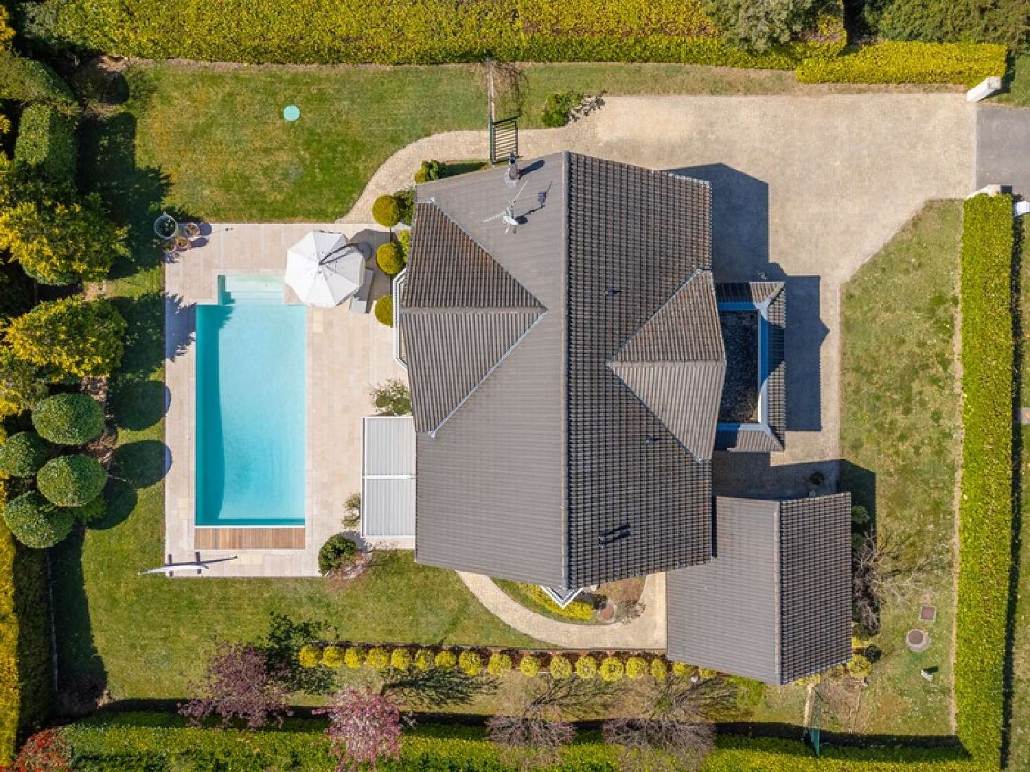  à vendre maison Divonne-les-Bains Ain 3