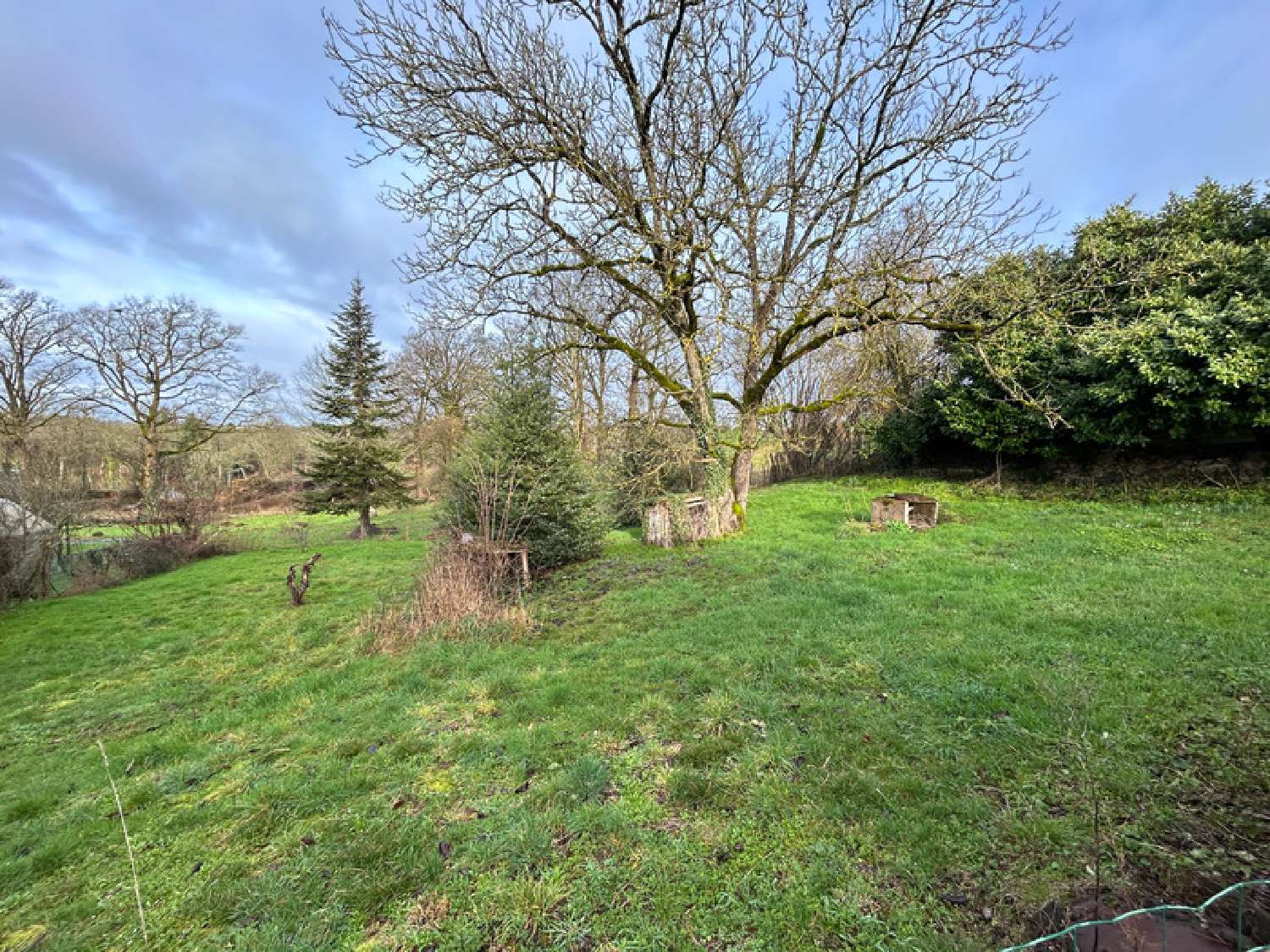  à vendre maison Dompierre-les-Églises Haute-Vienne 8
