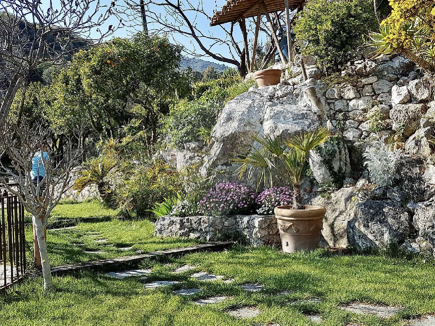  te koop huis Falicon Alpes-Maritimes 3
