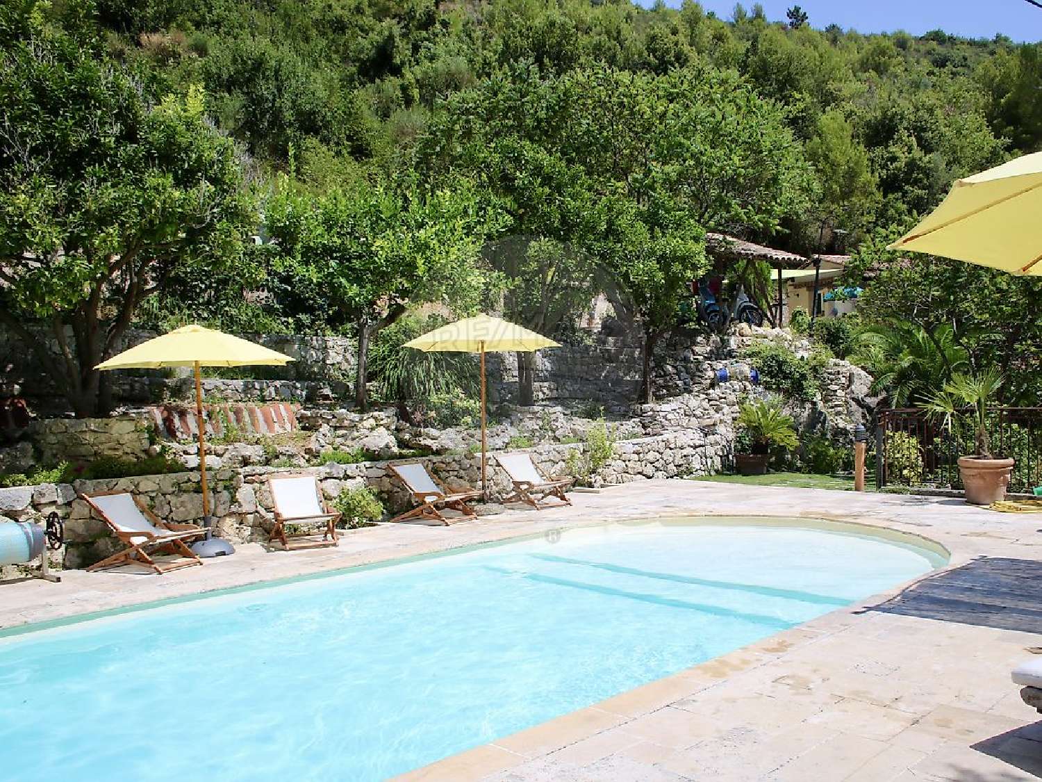  te koop huis Falicon Alpes-Maritimes 5