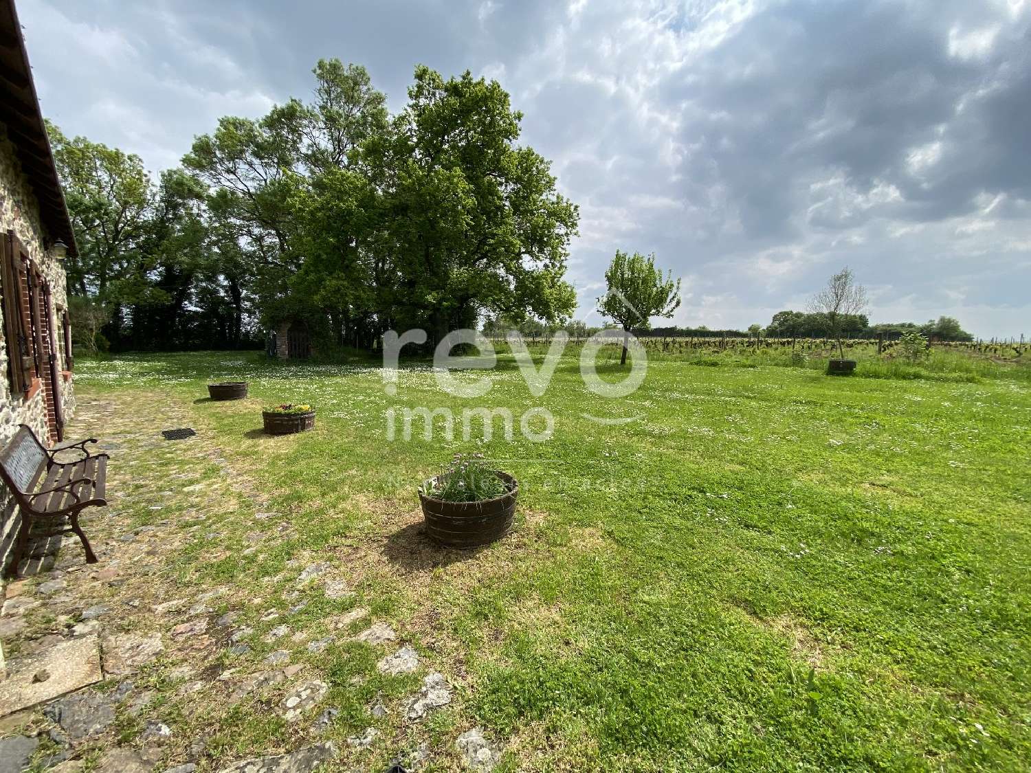  te koop huis Faye-d'Anjou Maine-et-Loire 3