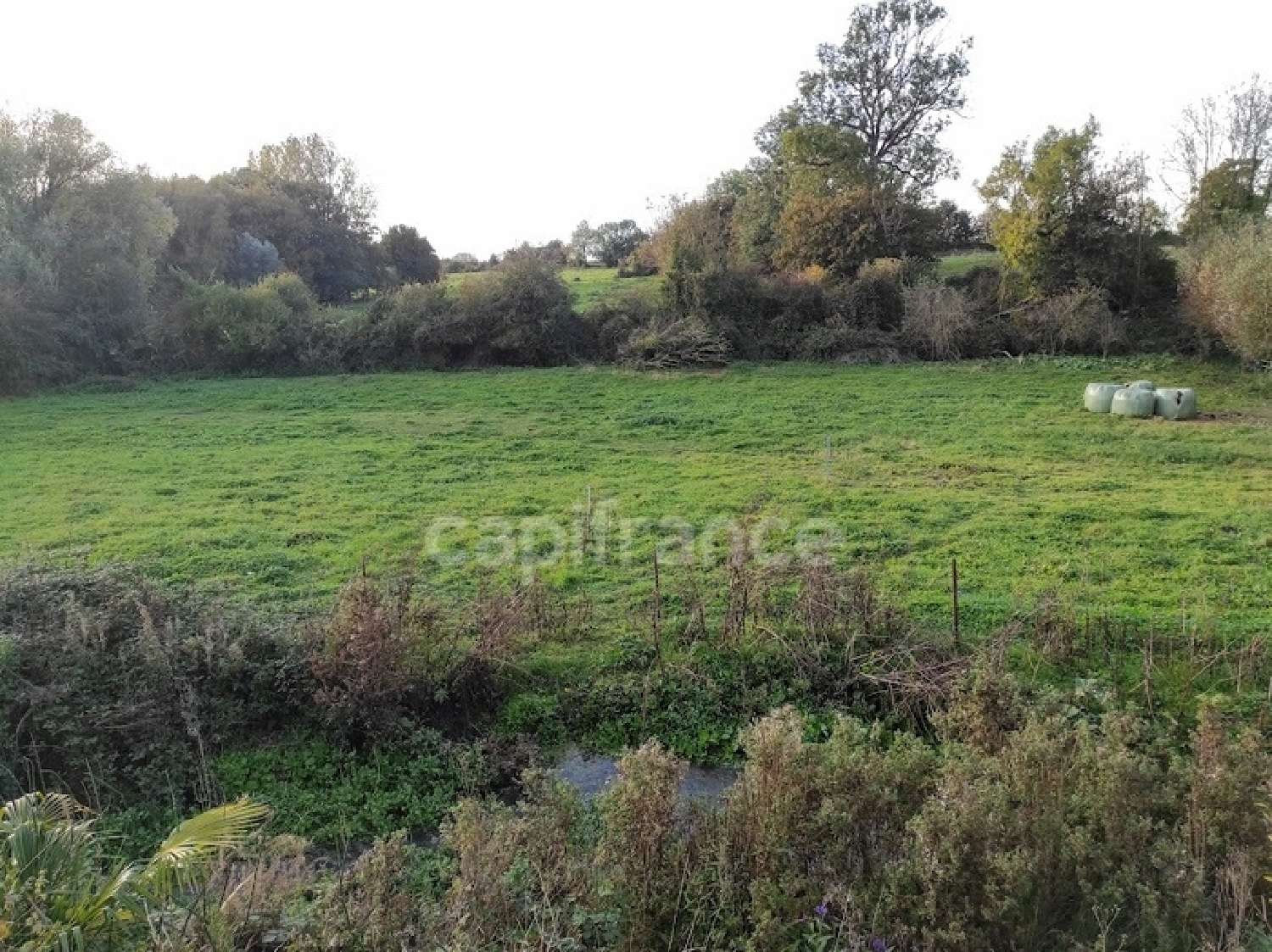  te koop huis Fléchin Pas-de-Calais 7
