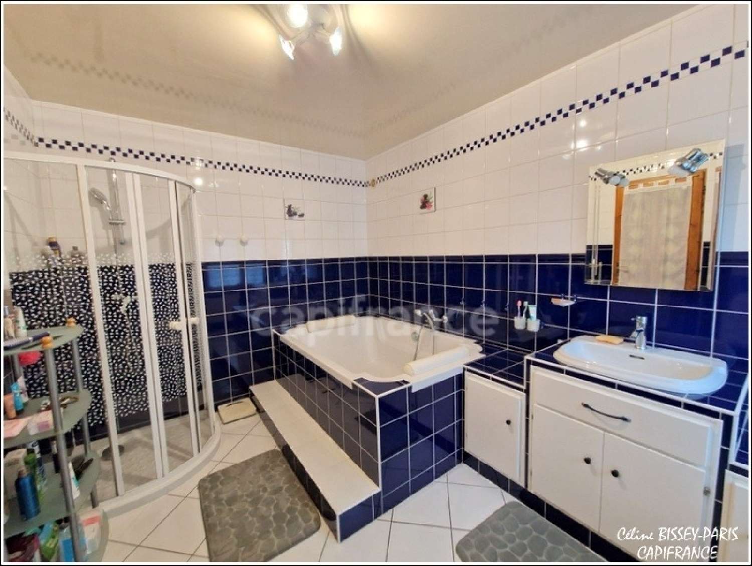  en venta casa Fleury-la-Vallée Yonne 7