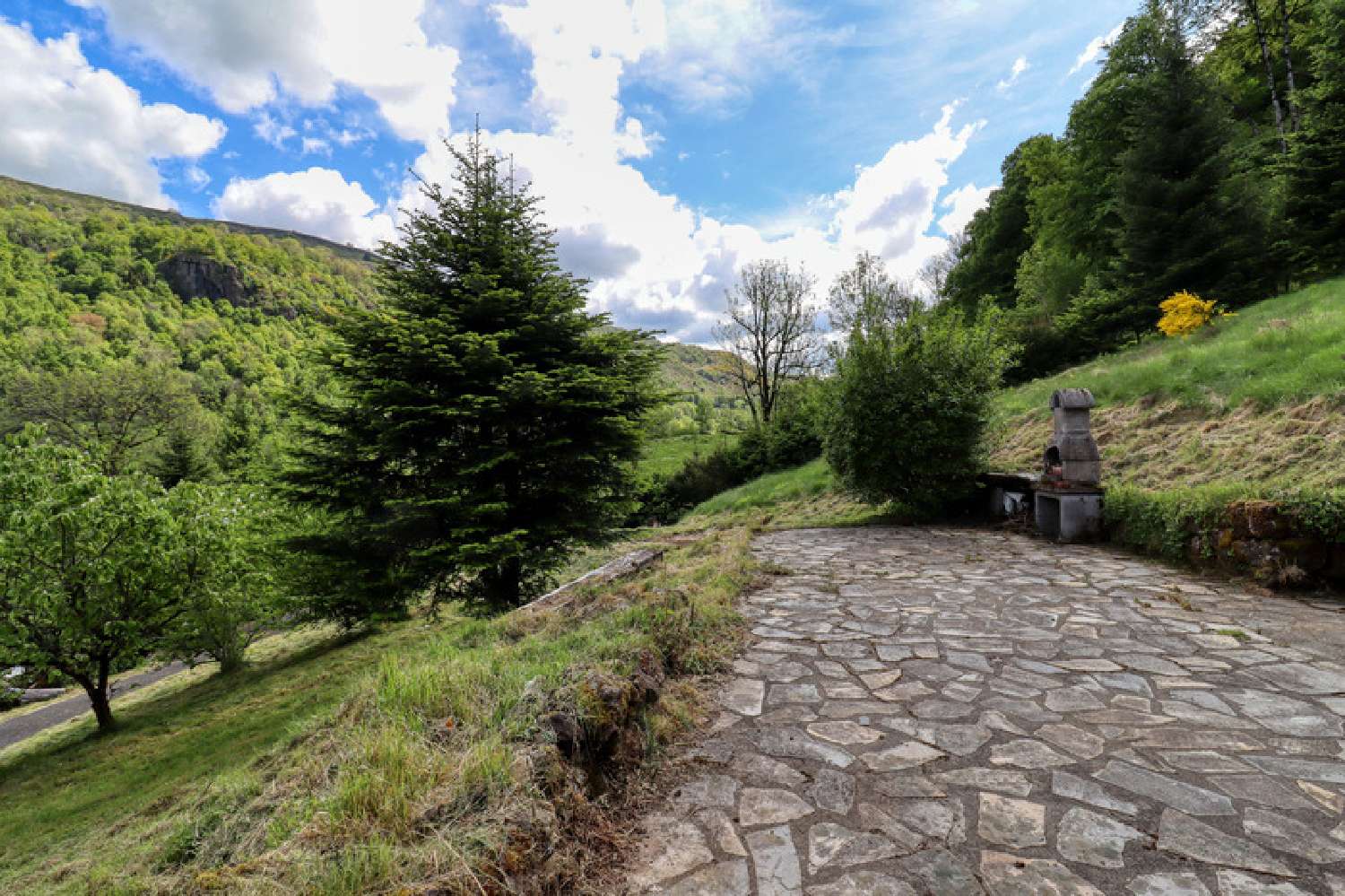  for sale house Fontanges Cantal 5