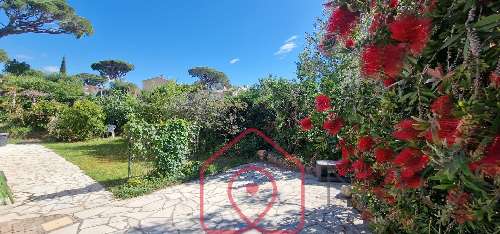 Fréjus Var Haus Bild 7064972