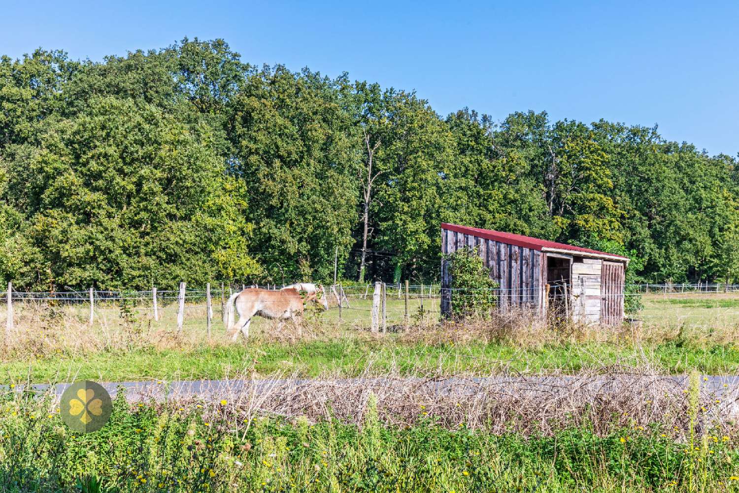  à vendre maison Gambais Yvelines 8