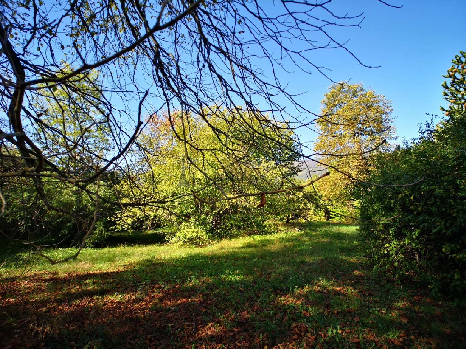  à vendre maison Gaud Haute-Garonne 2
