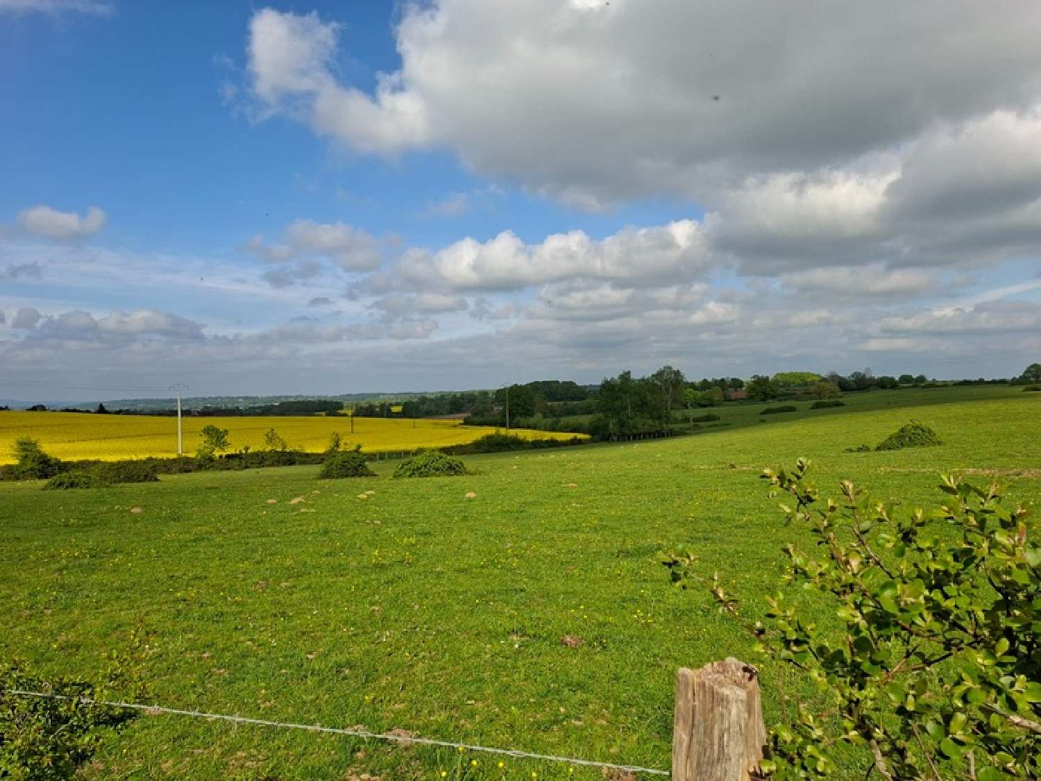  for sale house Gesnes-le-Gandelin Sarthe 3
