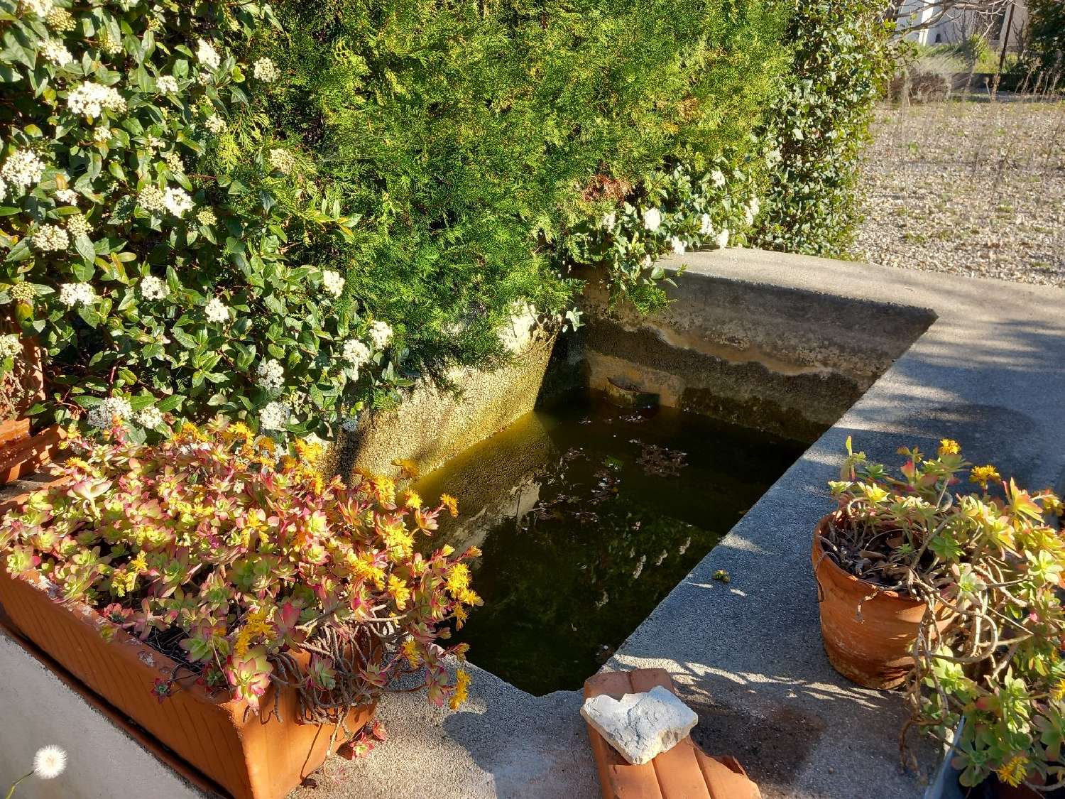  for sale house Gignac Hérault 2