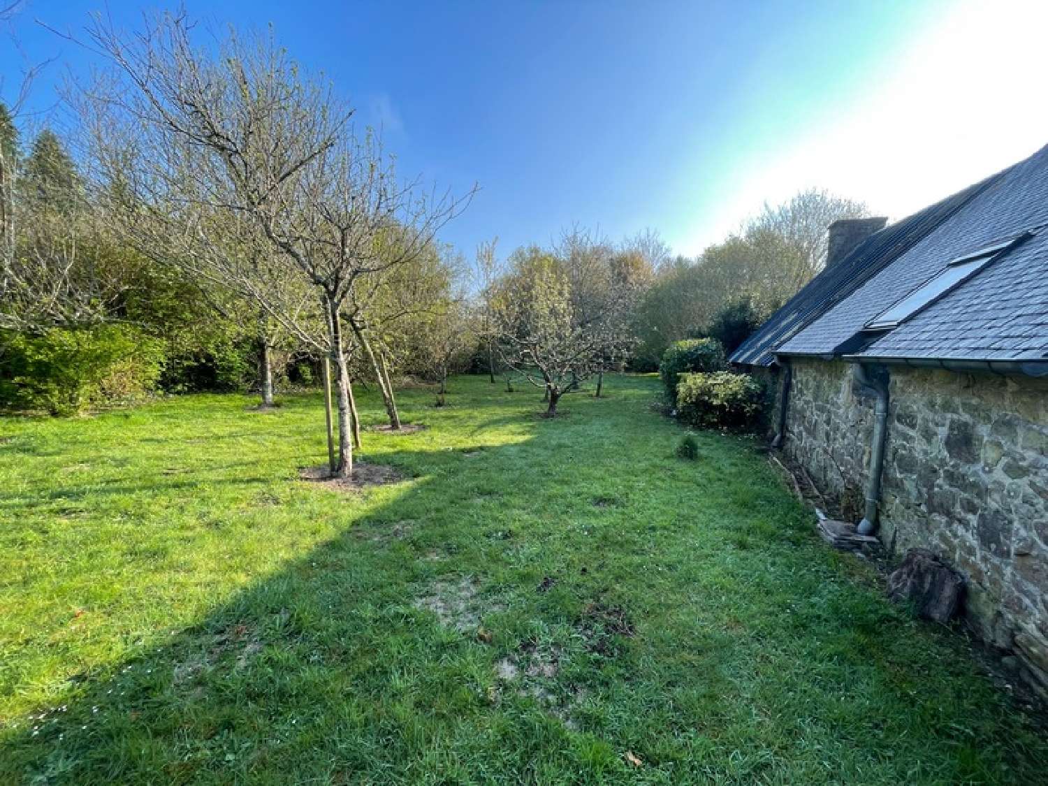 à vendre maison Glomel Côtes-d'Armor 5