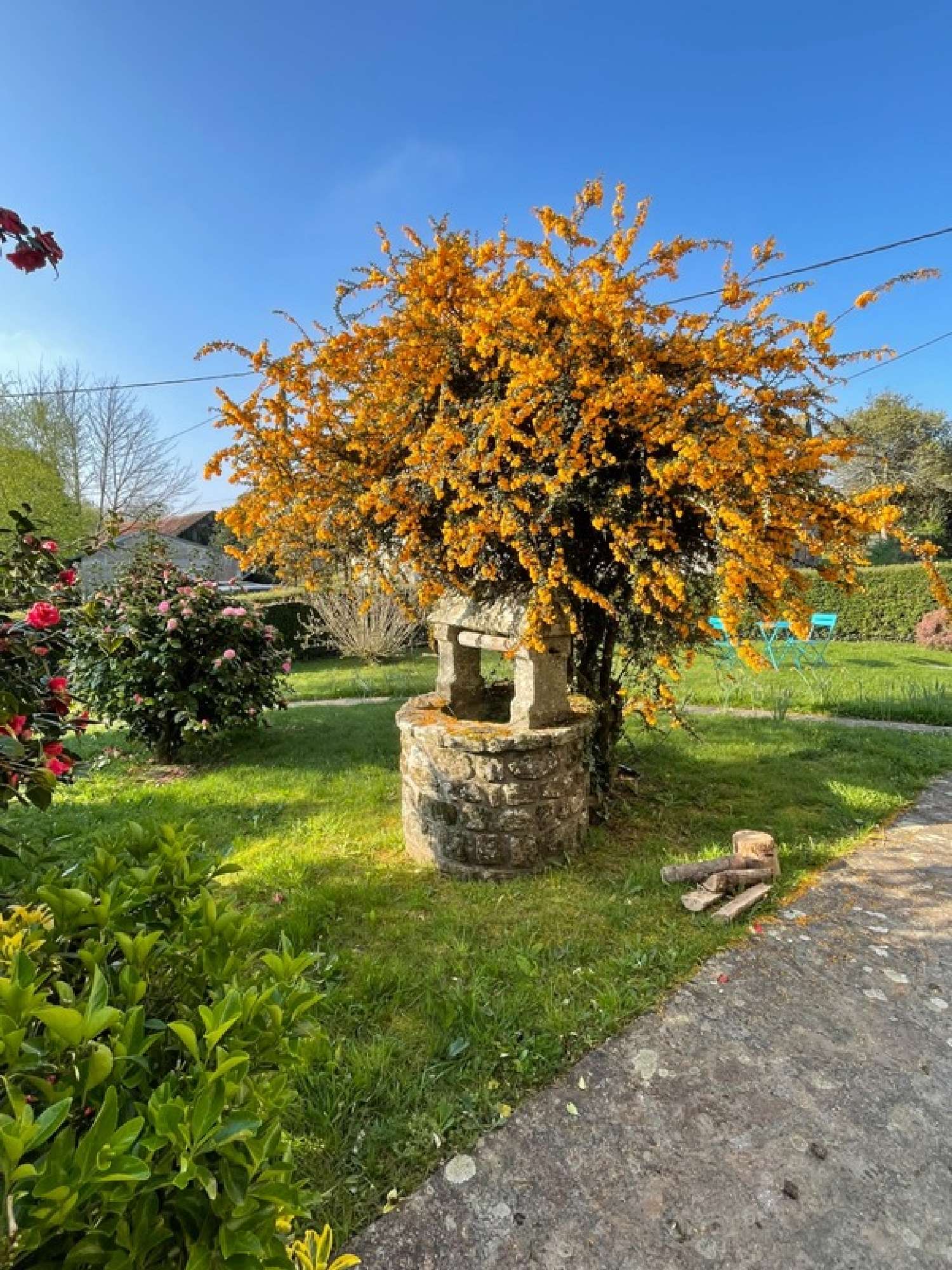  à vendre maison Glomel Côtes-d'Armor 7