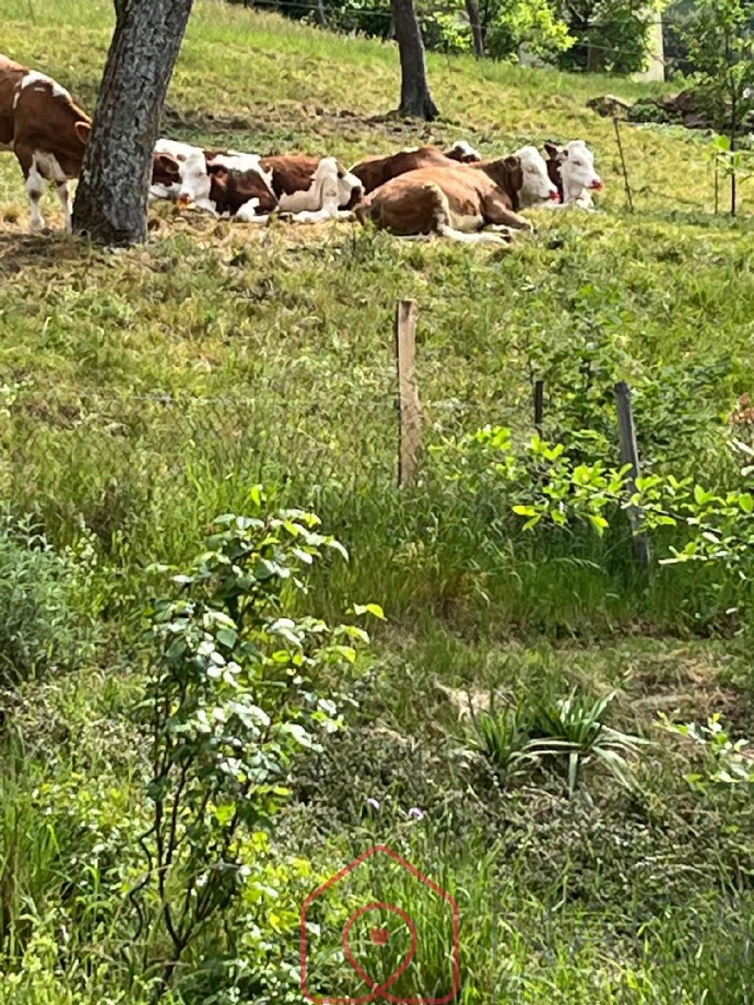  te koop huis Hohrod Haut-Rhin 7