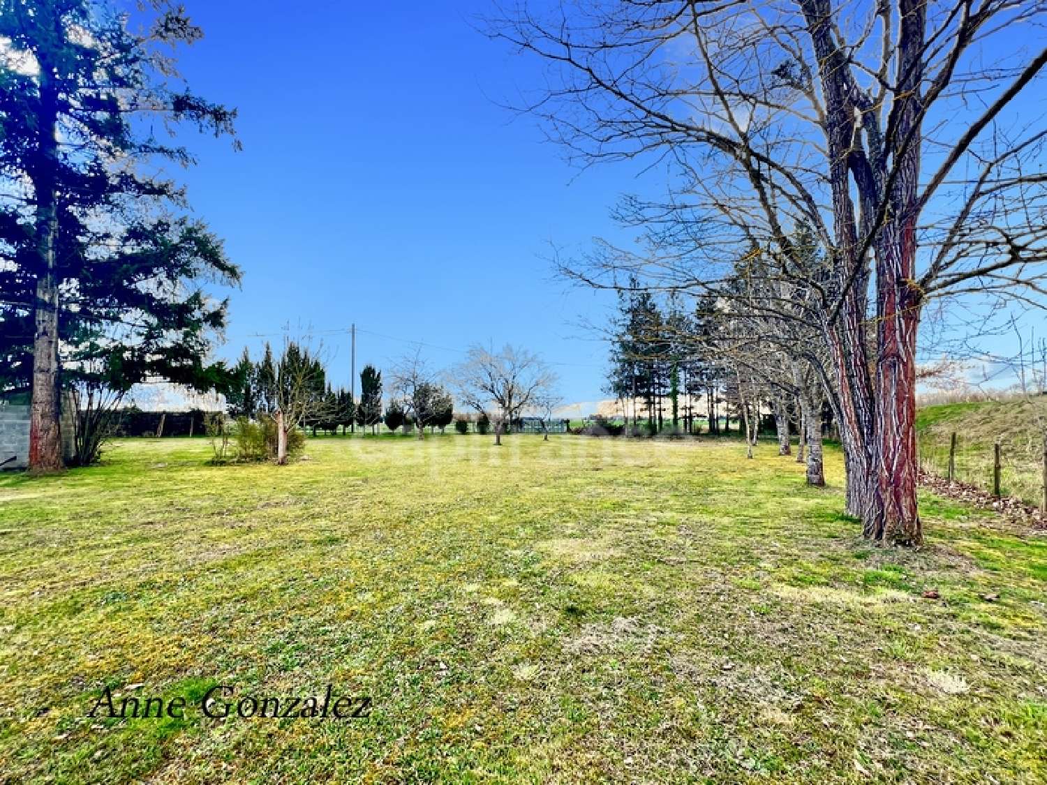  à vendre maison Jargeau Loiret 4