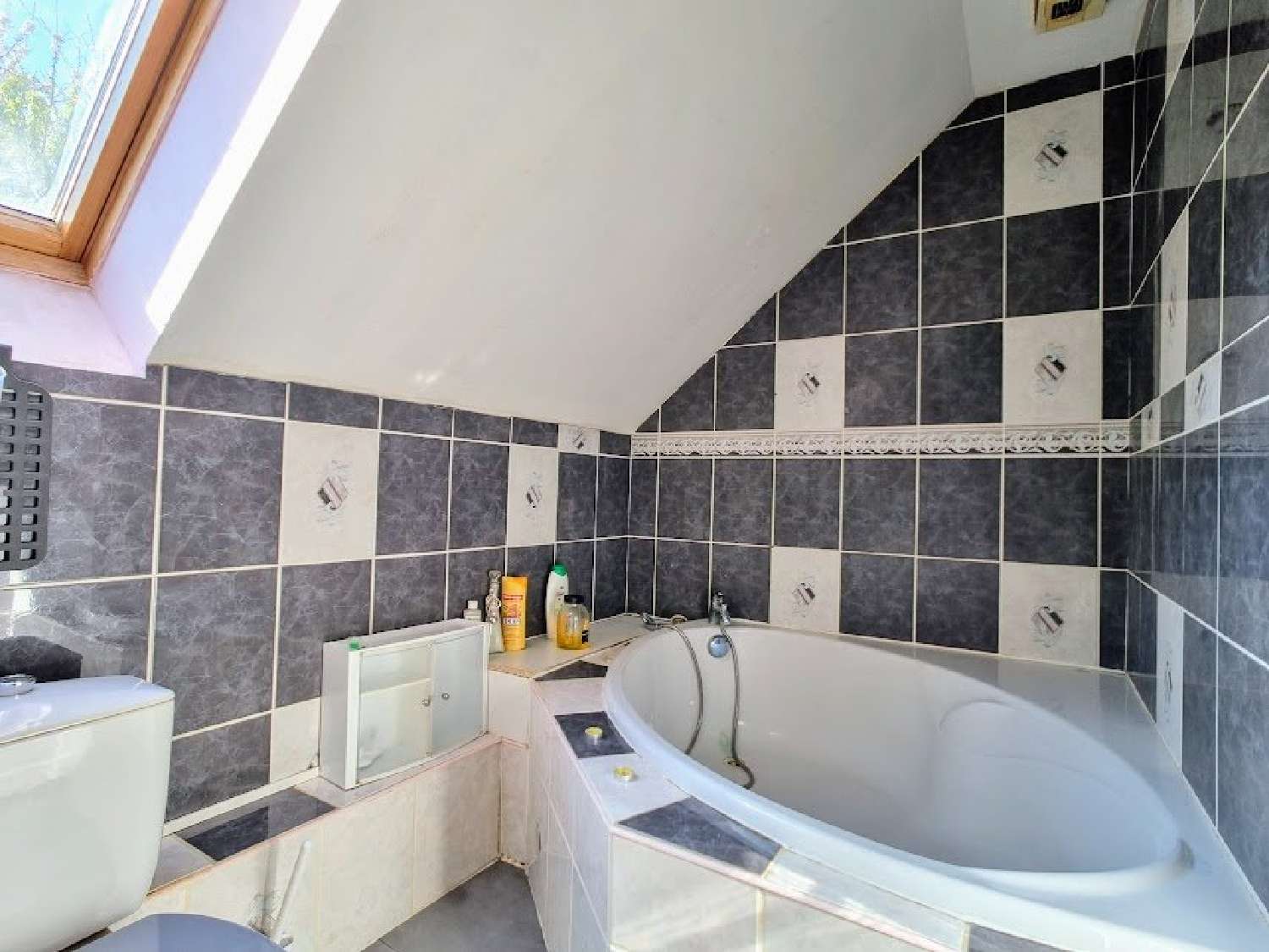  te koop huis L'Isle-sur-le-Doubs Doubs 8
