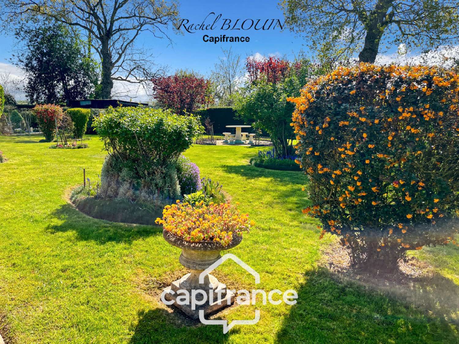  for sale house La Chapelle-du-Lou Ille-et-Vilaine 2