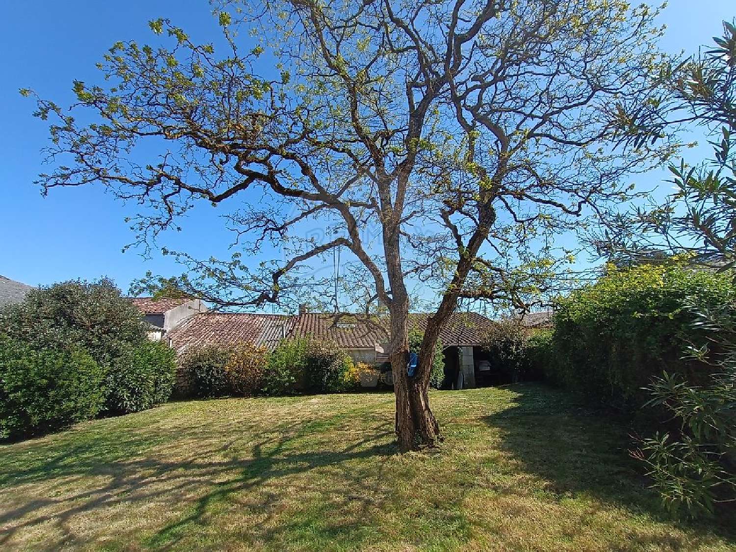  te koop huis La-Gripperie-Saint-Symphorien Charente-Maritime 3
