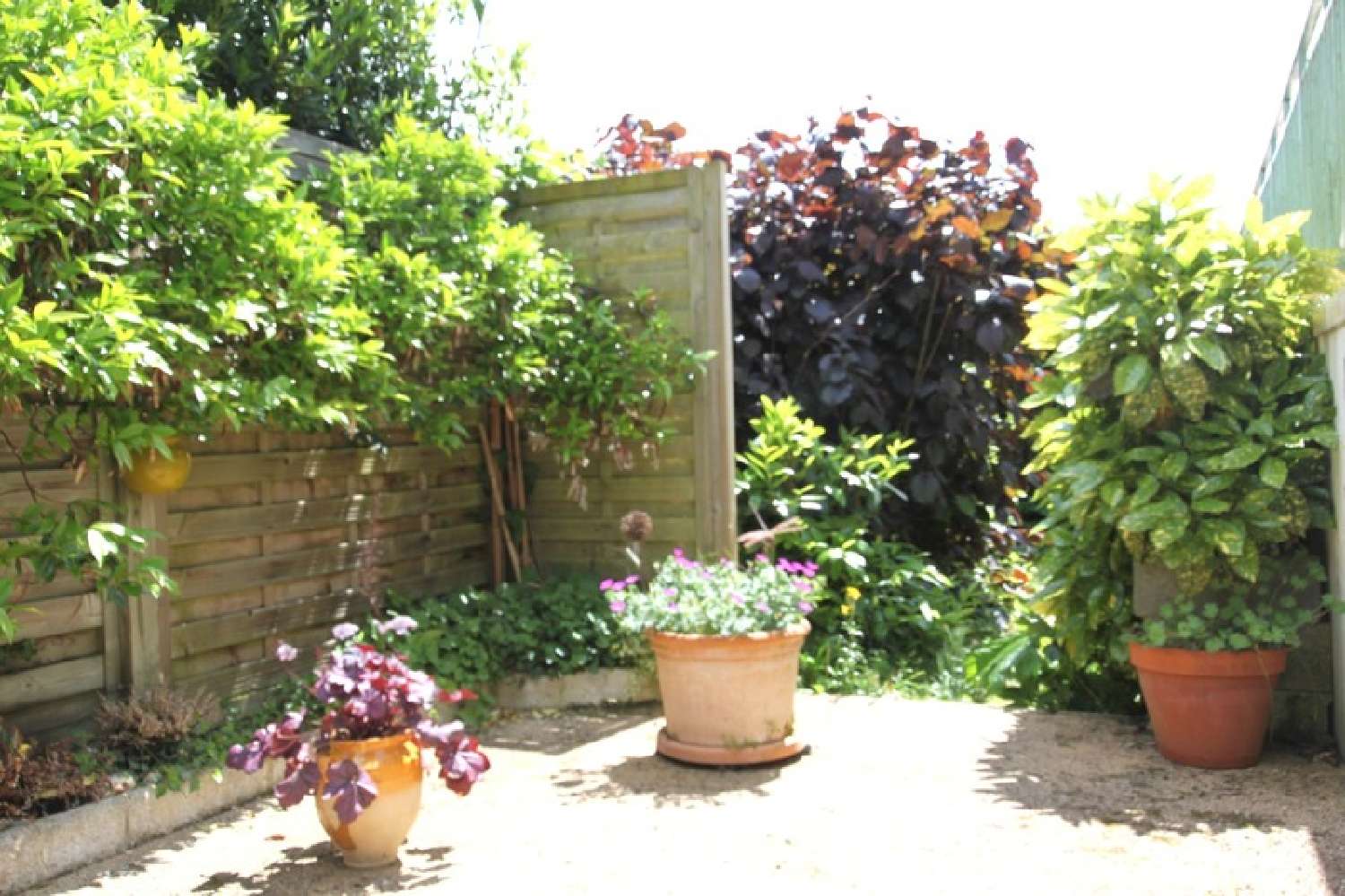  kaufen Haus La Rochelle Charente-Maritime 4