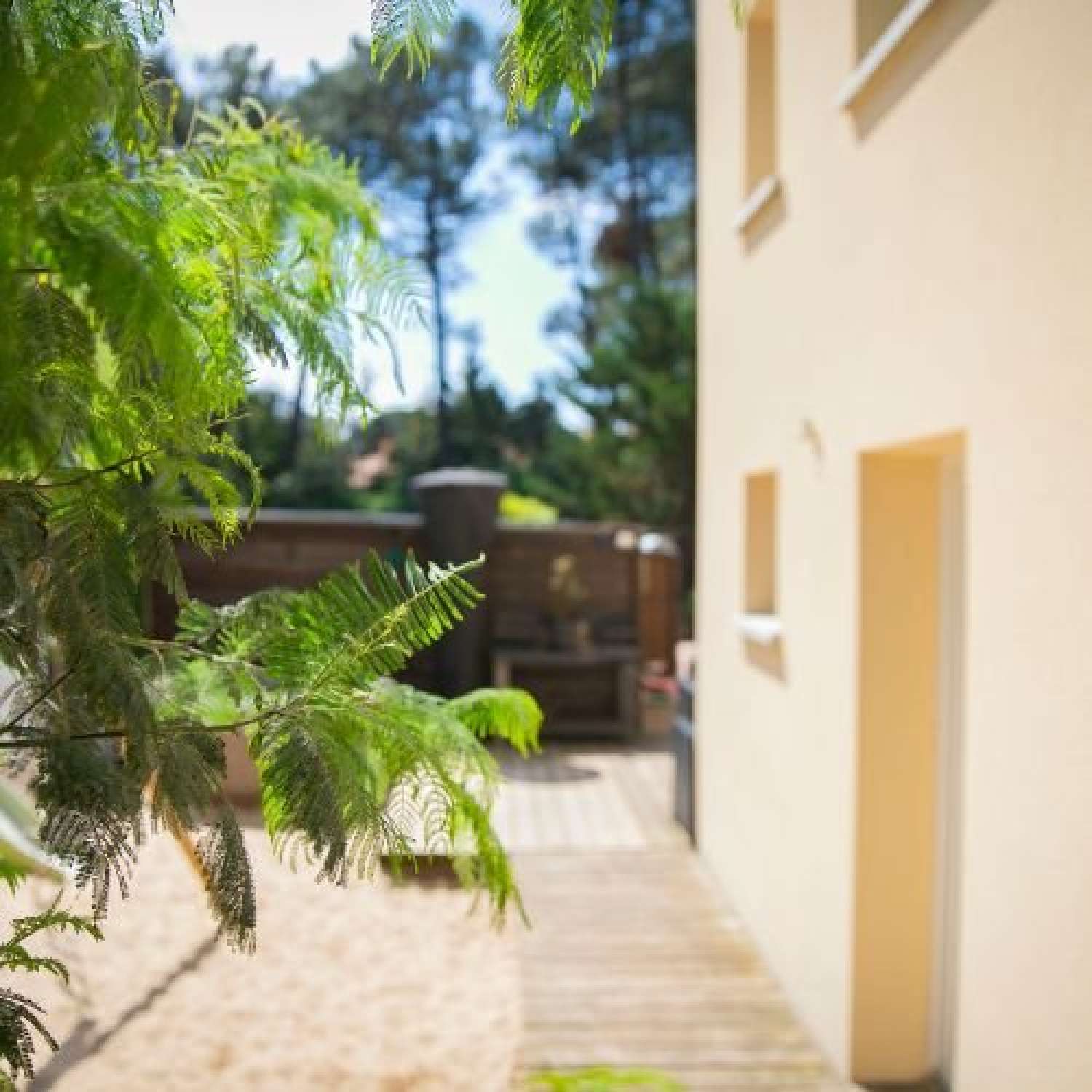  te koop huis Lacanau-Océan Gironde 3