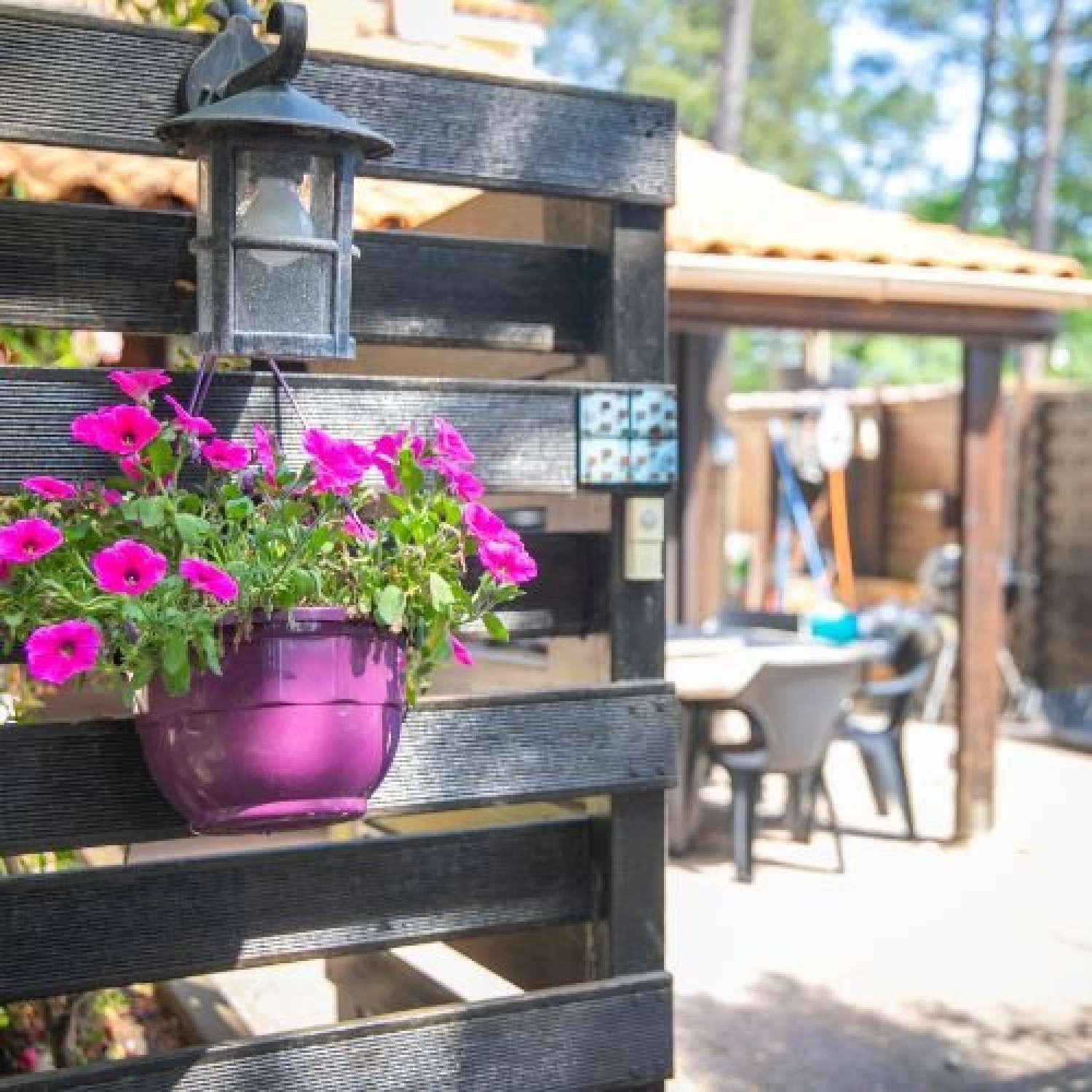 te koop huis Lacanau-Océan Gironde 4