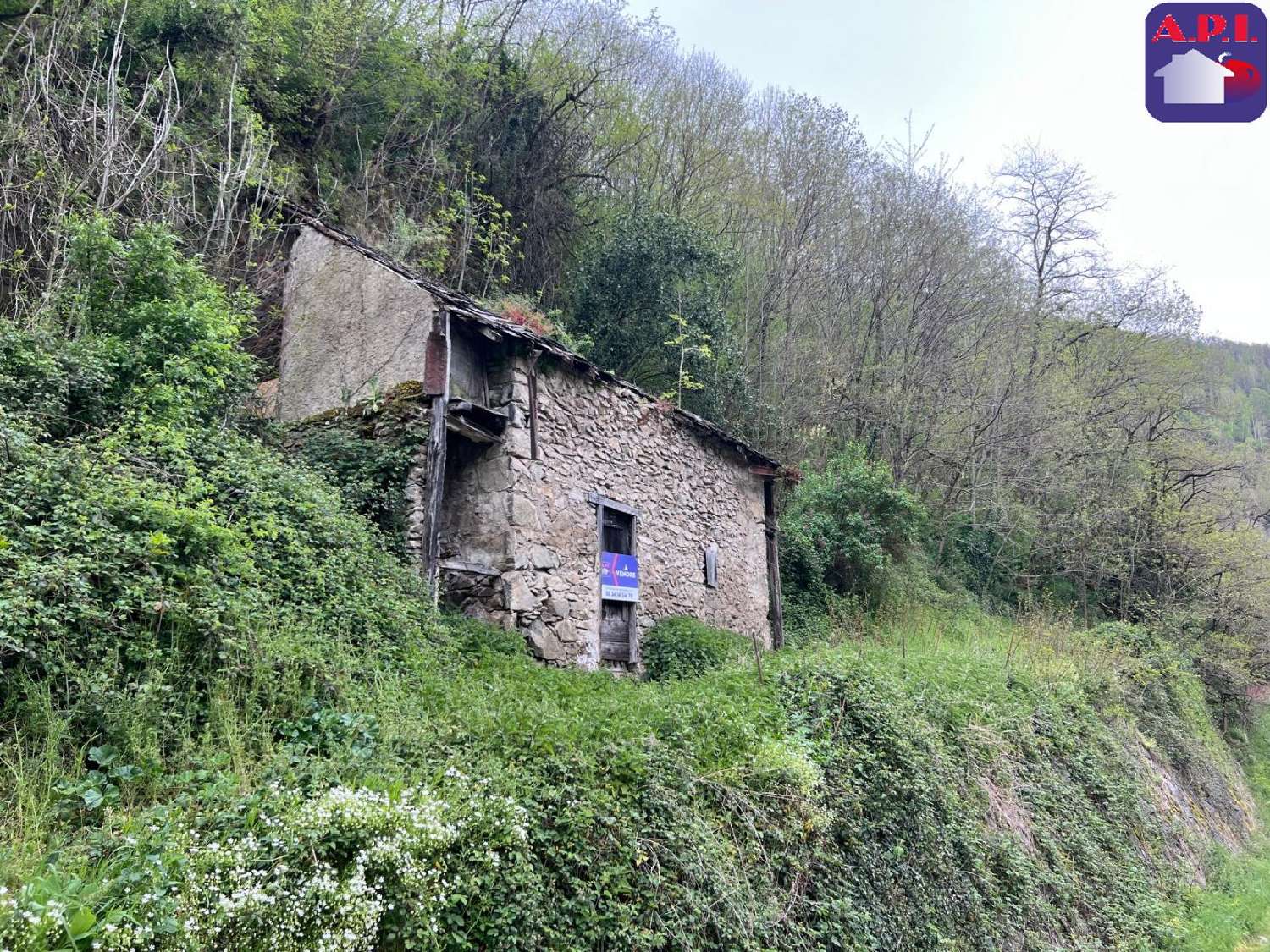  te koop huis Lacourt Ariège 3