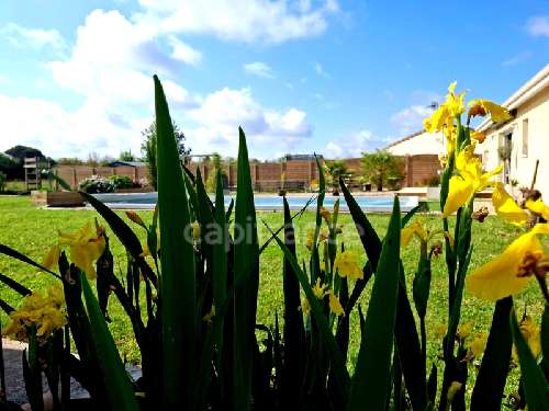 Sainte Bazeille Lot-et-Garonne house foto 7067226