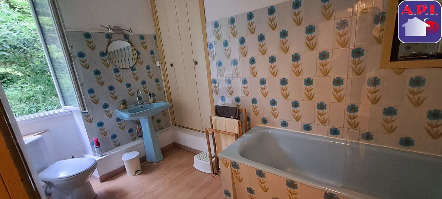  te koop huis Lavelanet Ariège 8