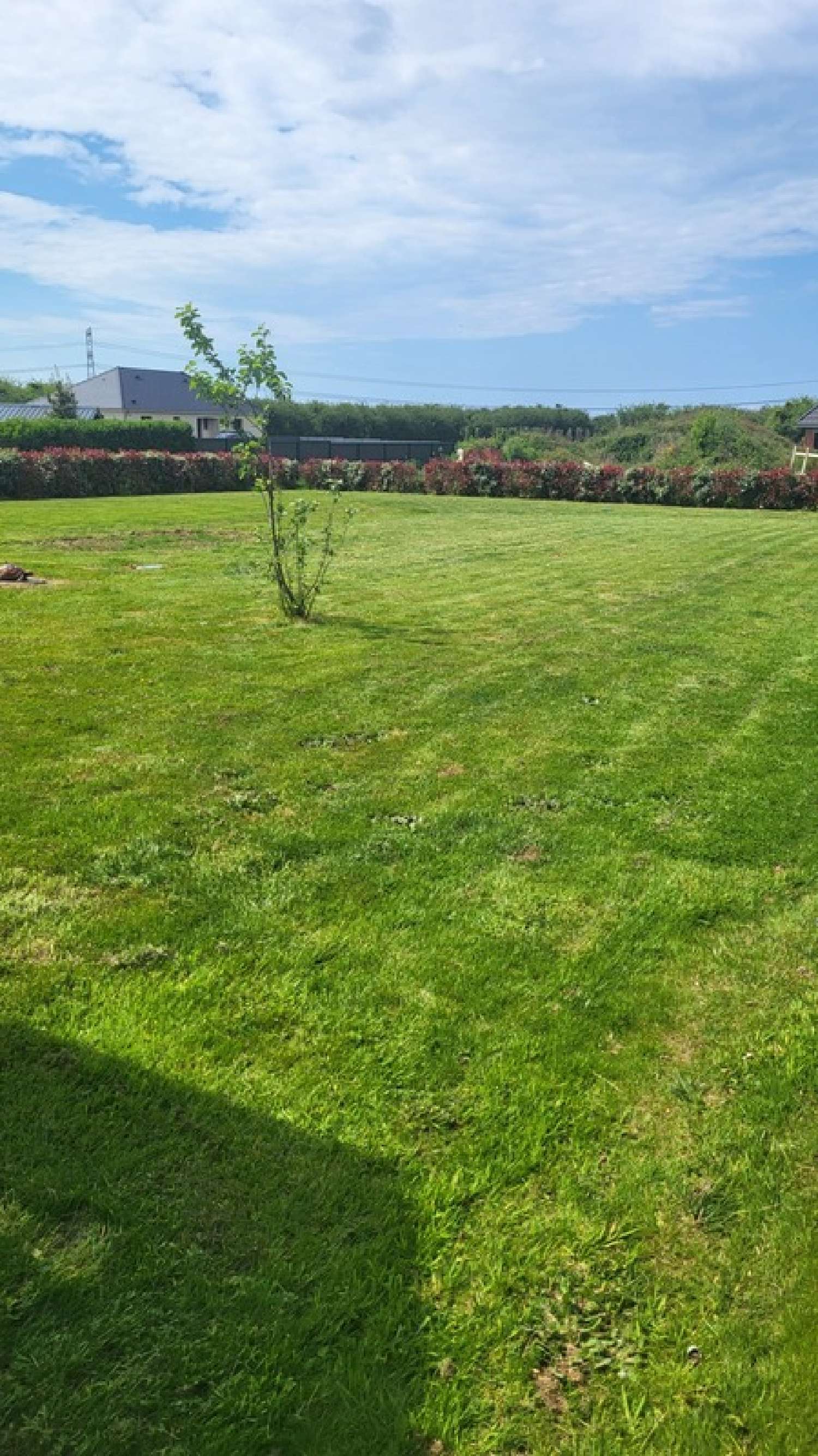  for sale house Le Bois-Robert Seine-Maritime 4