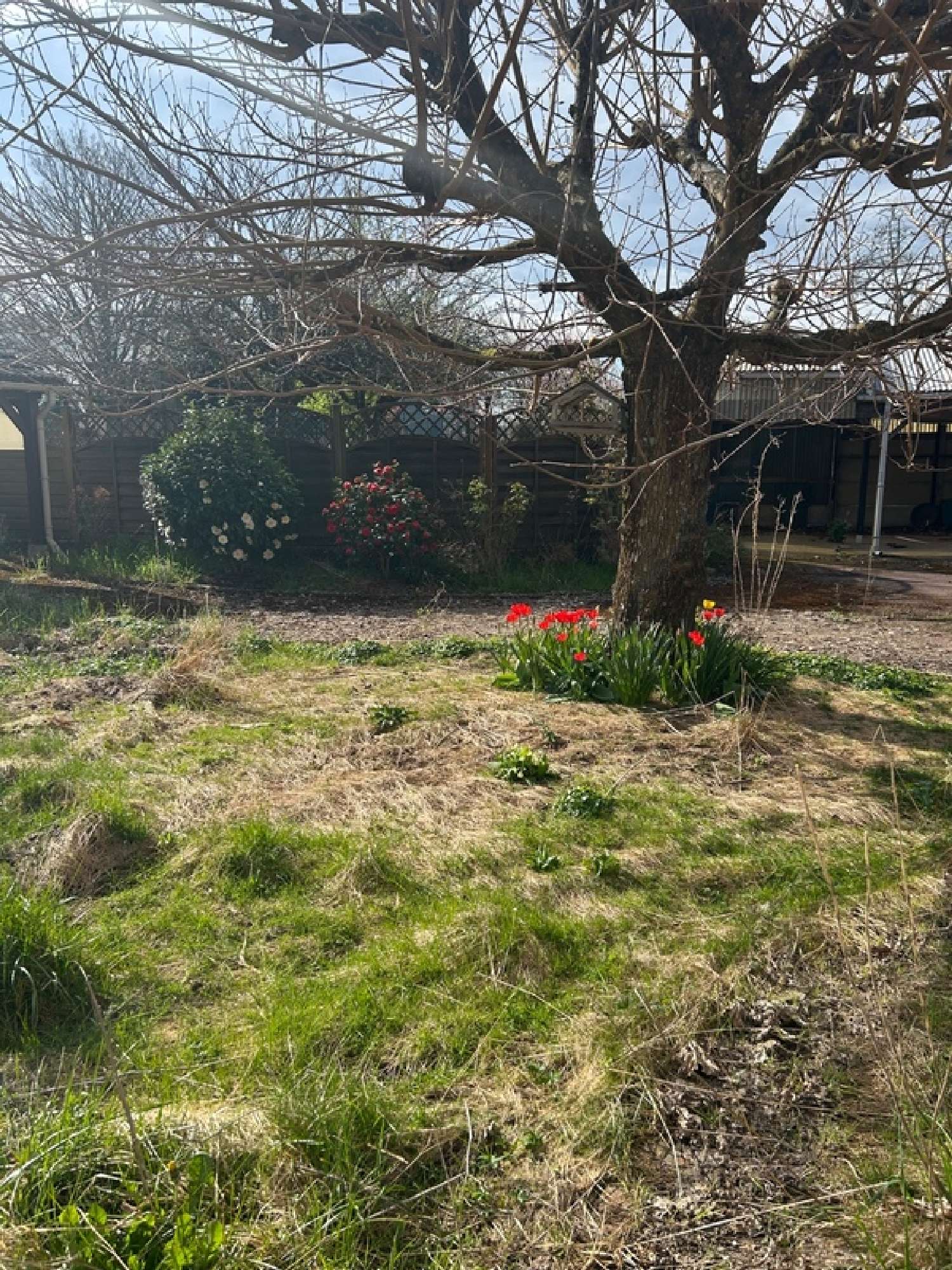  te koop huis Le Charme Loiret 2